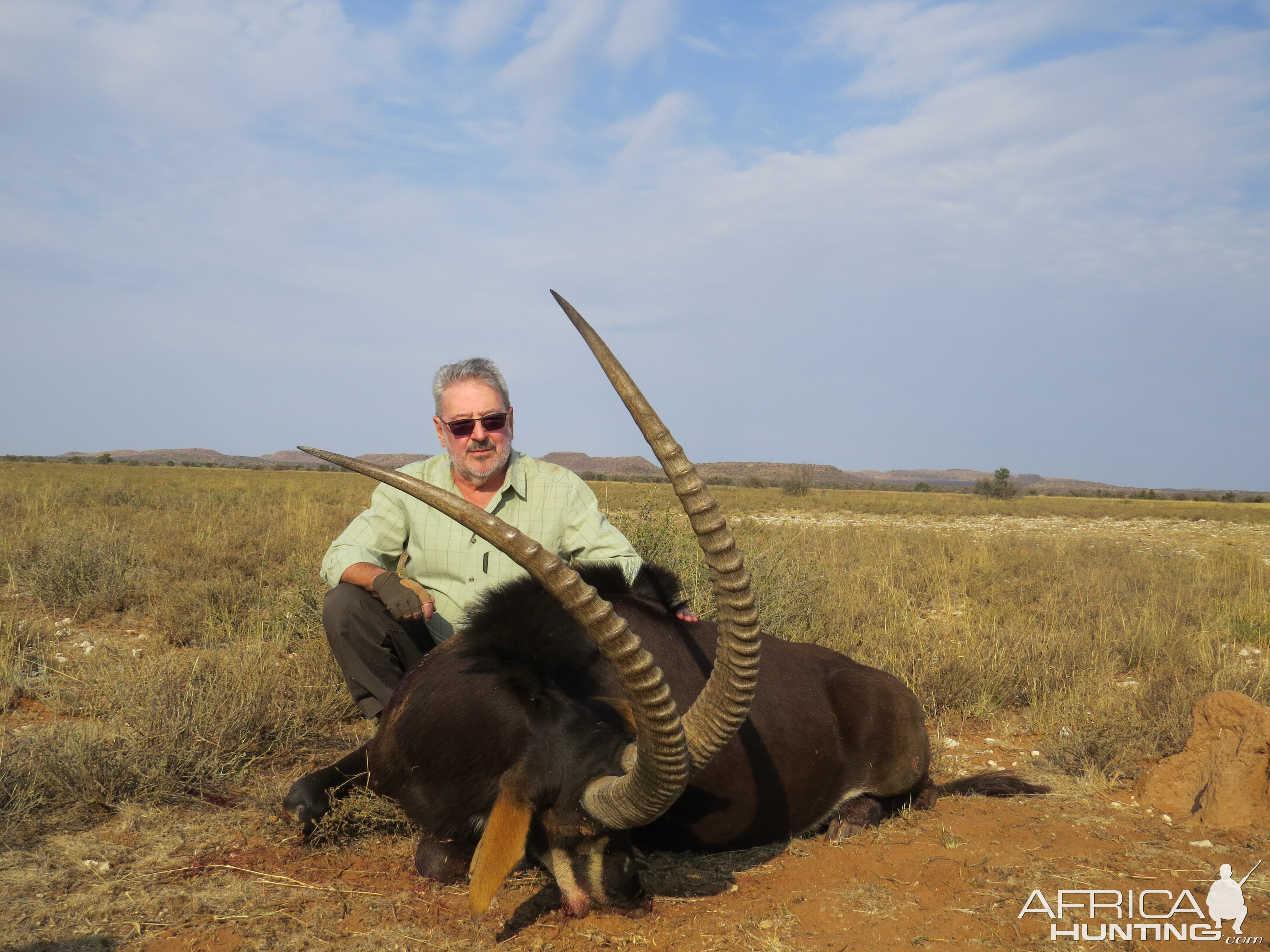 Sable Hunting South Africa