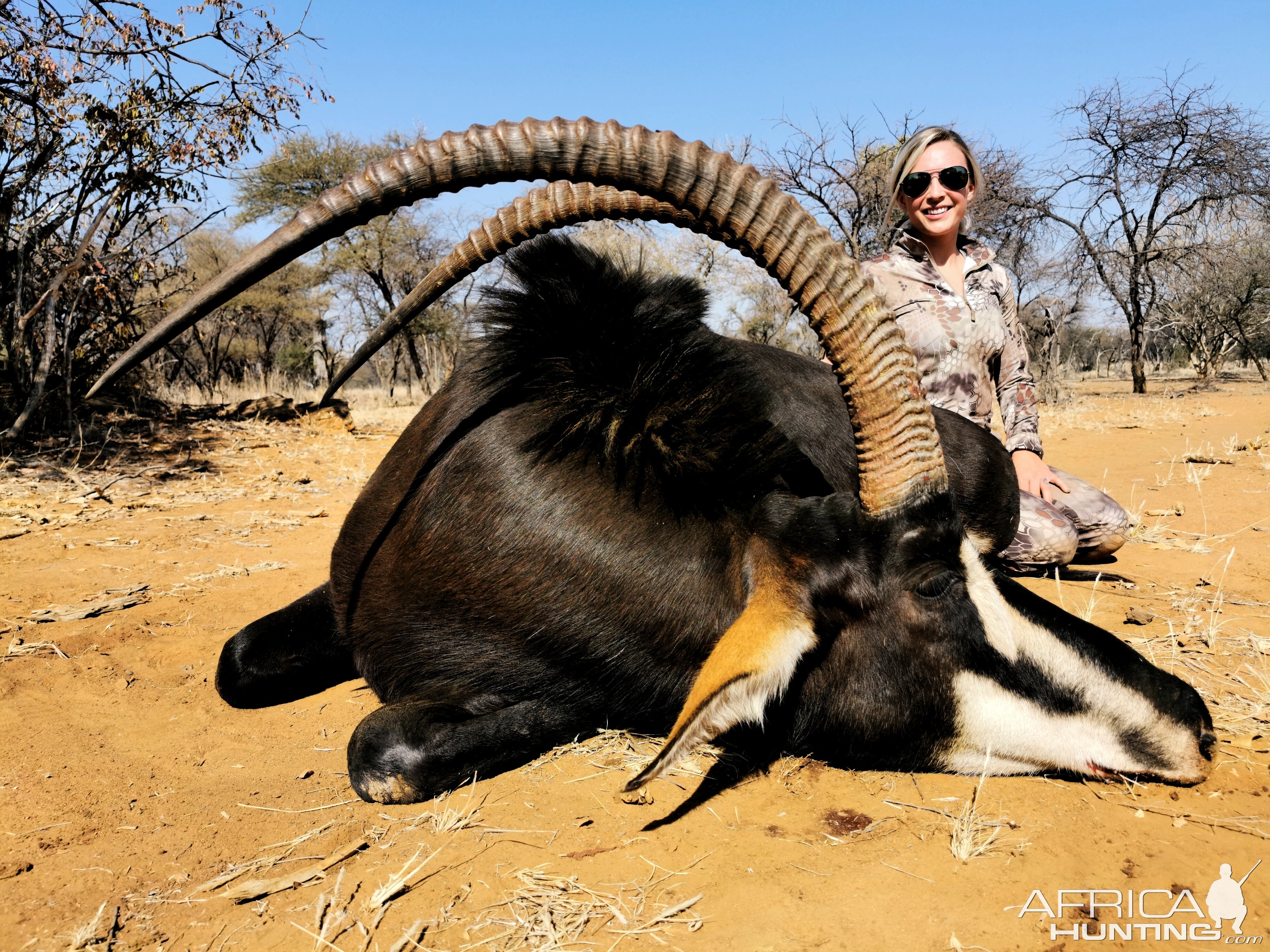 Sable Hunting South Africa