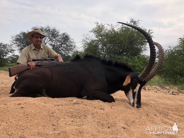 Sable Hunting South Africa