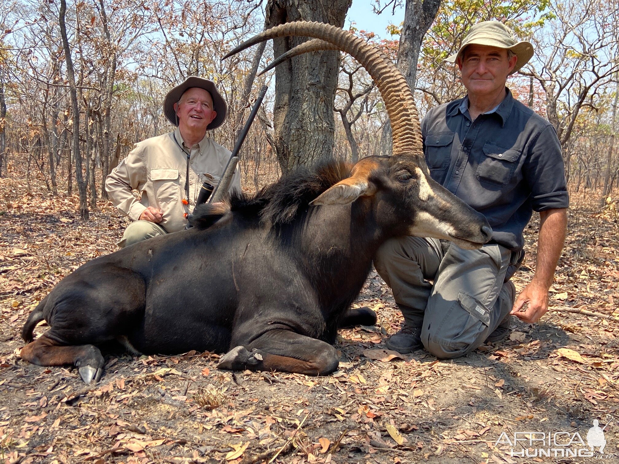 Sable Hunting Tanzania