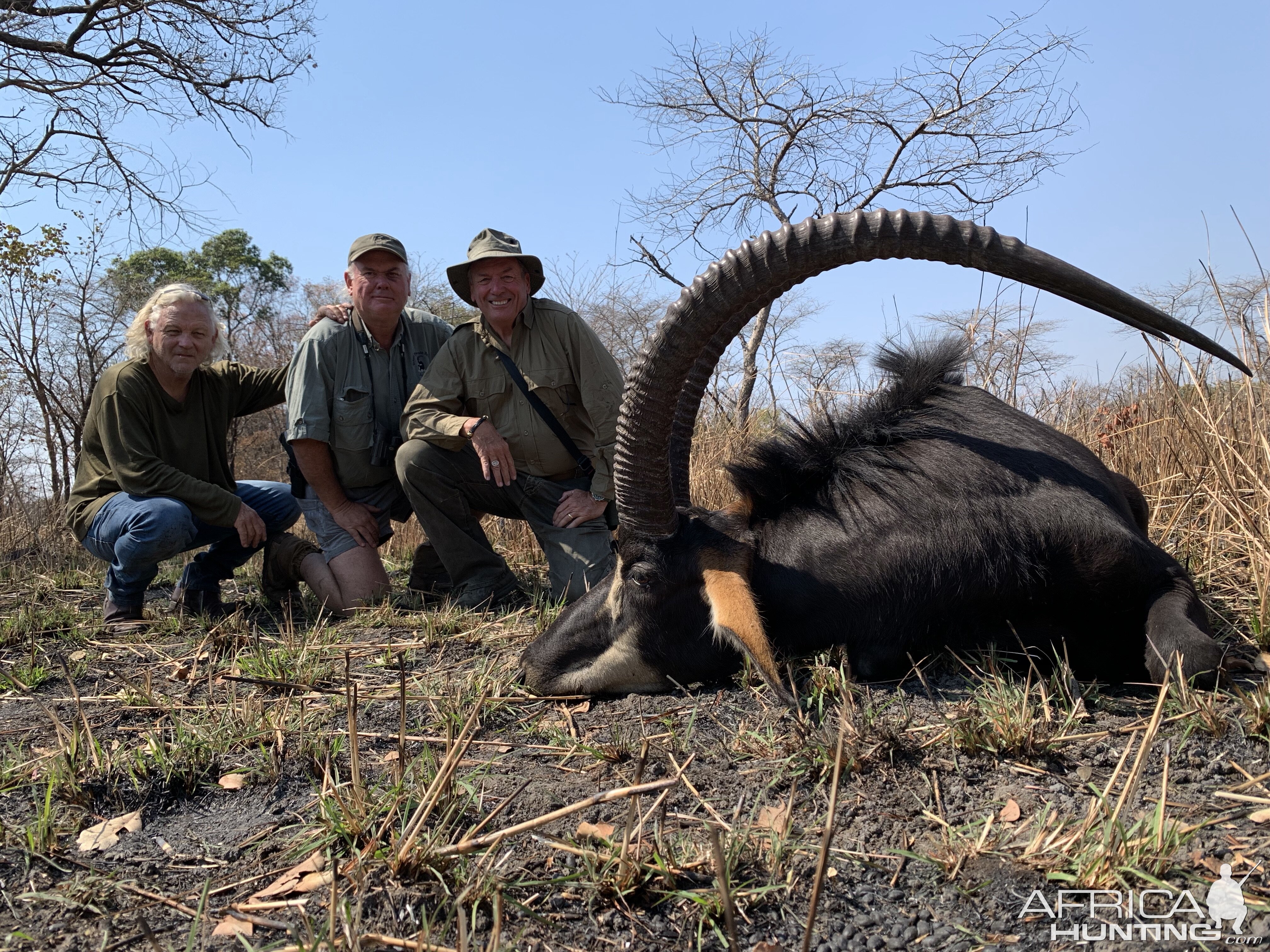 Sable Hunting Zambia