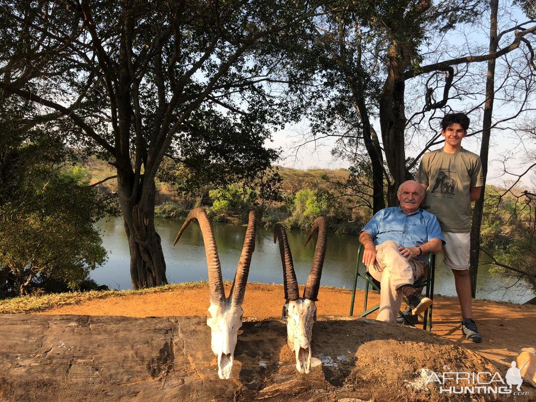 Sable Hunting Zambia