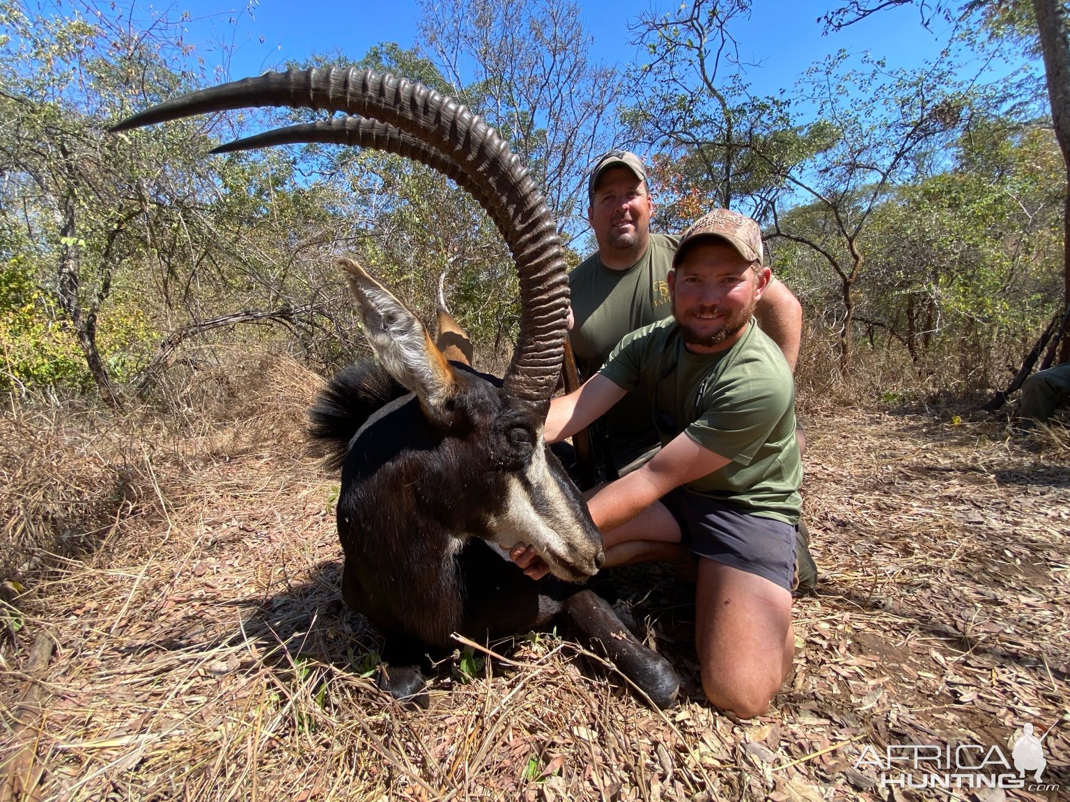 Sable Hunting Zimbabwe