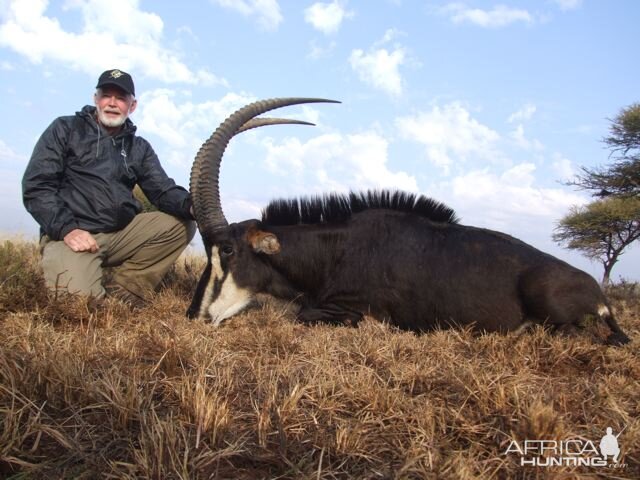 Sable Hunting