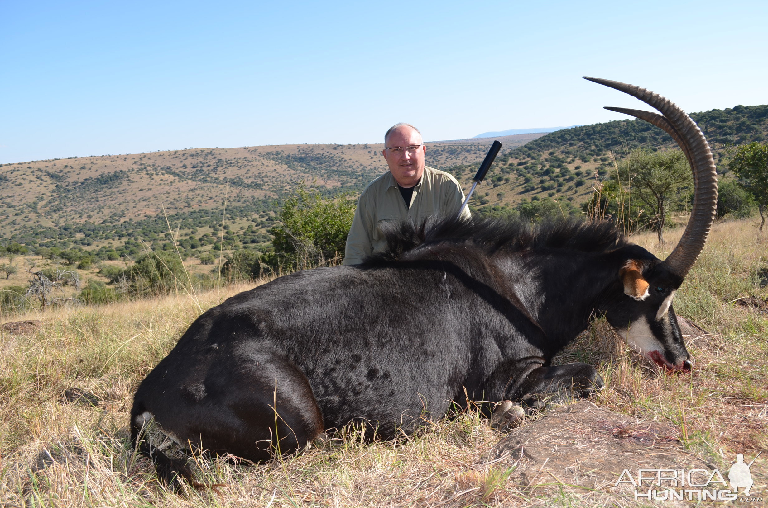 Sable KMG Hunting Safaris