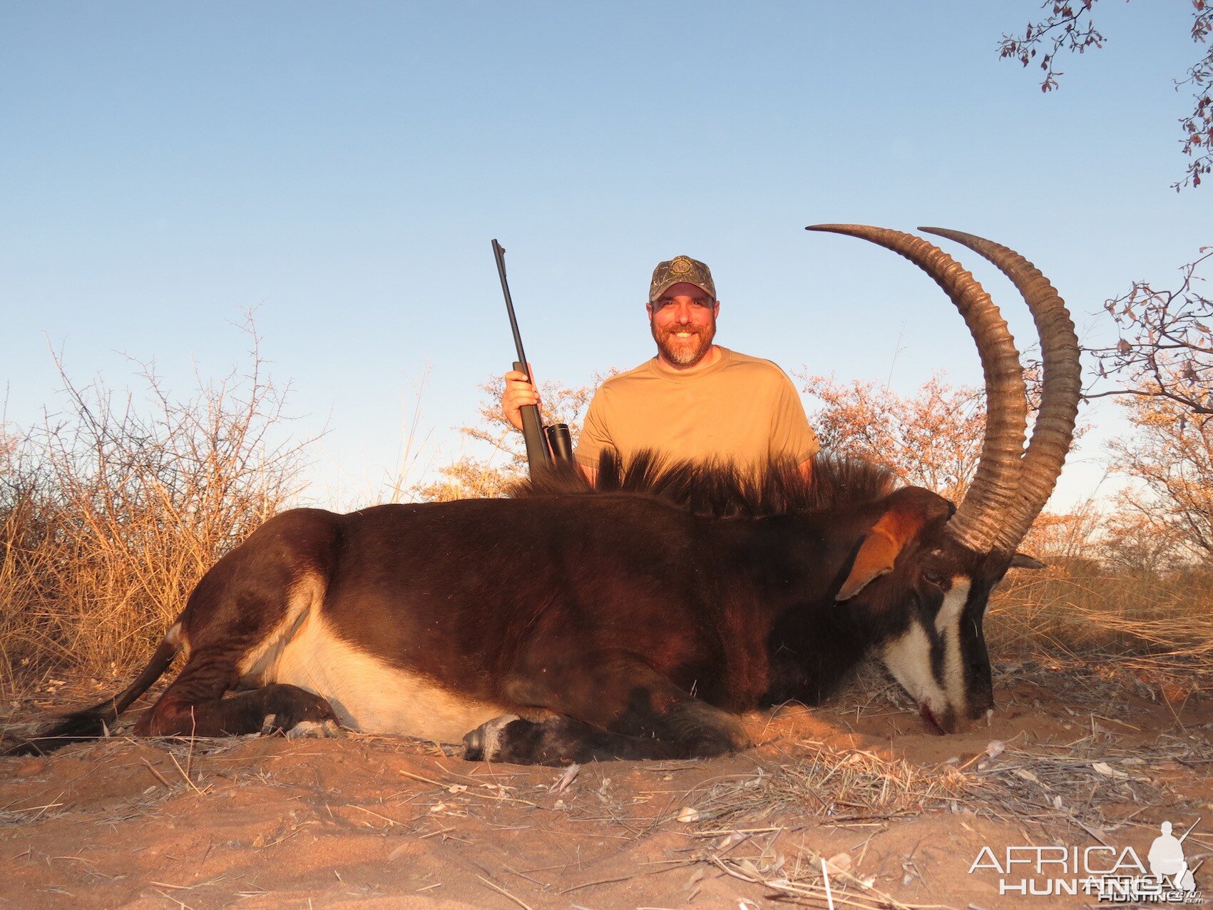 Sable.  Leopard Legend Hunting Safaris - Namibia