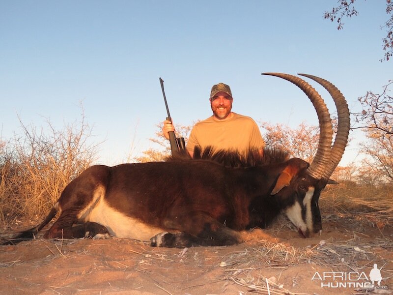 Sable Namibia Hunting