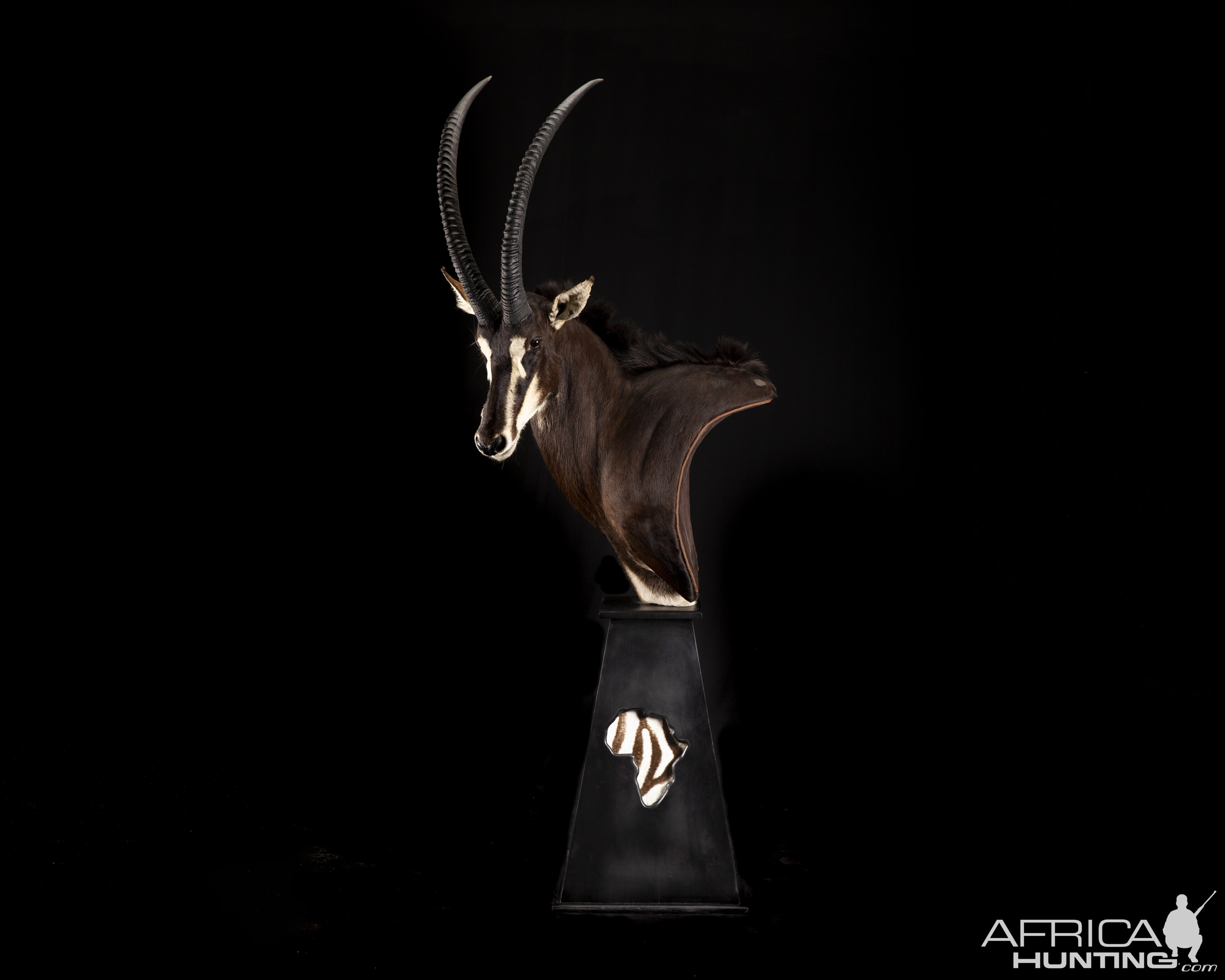 Sable Pedestal Mount Taxidermy