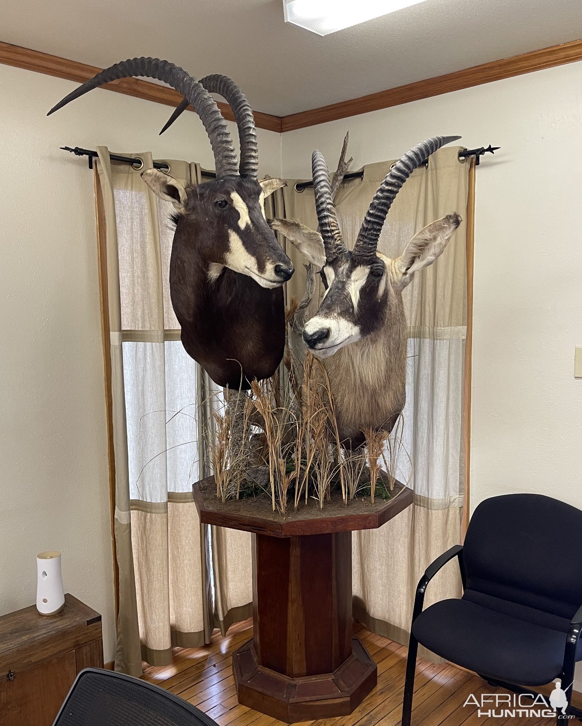 Sable & Roan Pedestal Mount