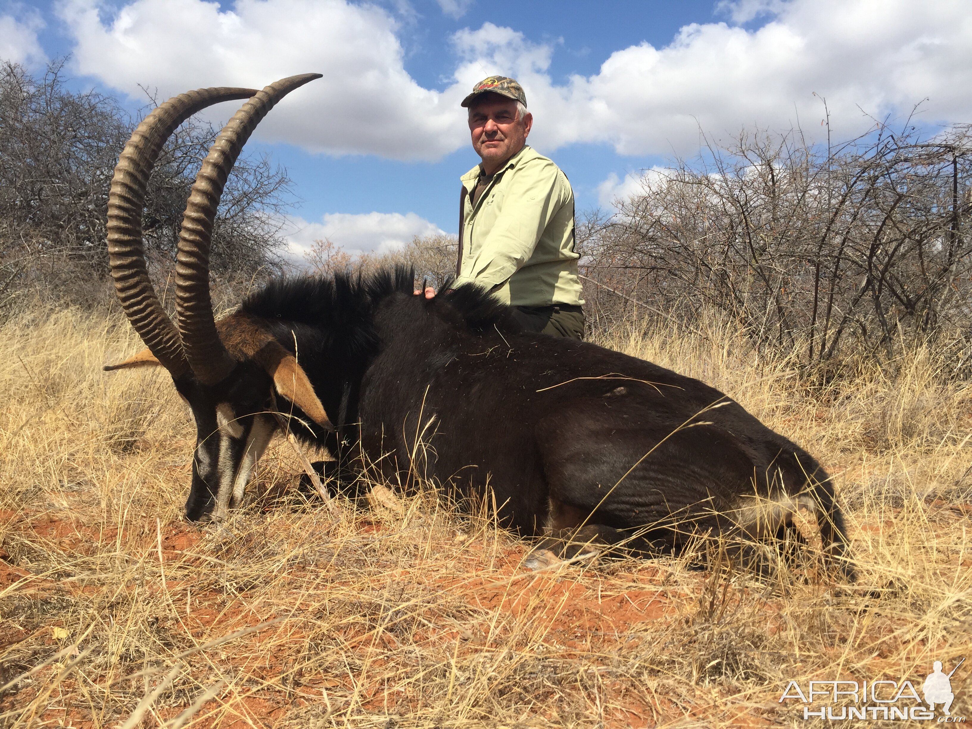 Sable South Africa Hunting