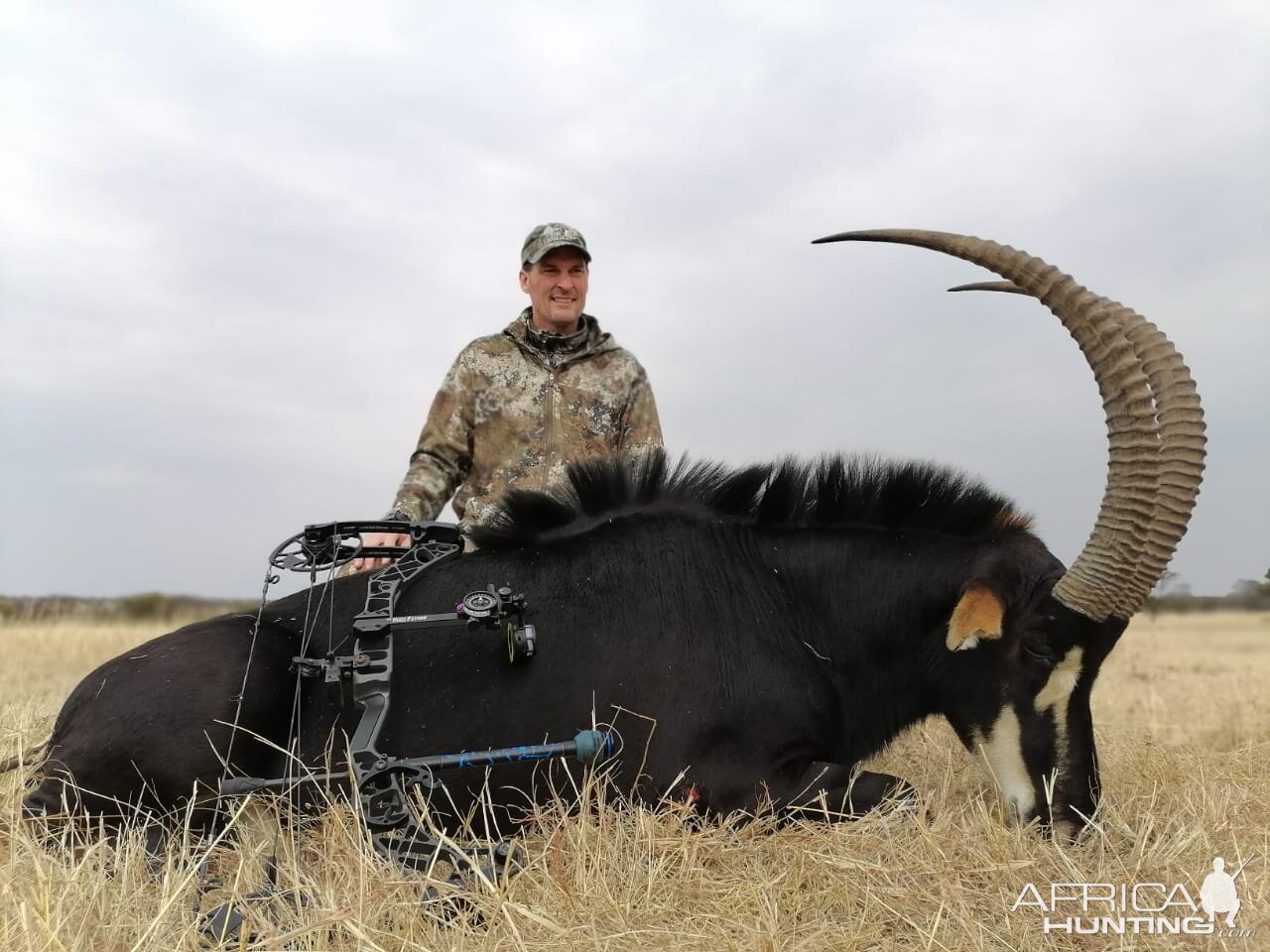 Sable South Africa, Kuche Safaris