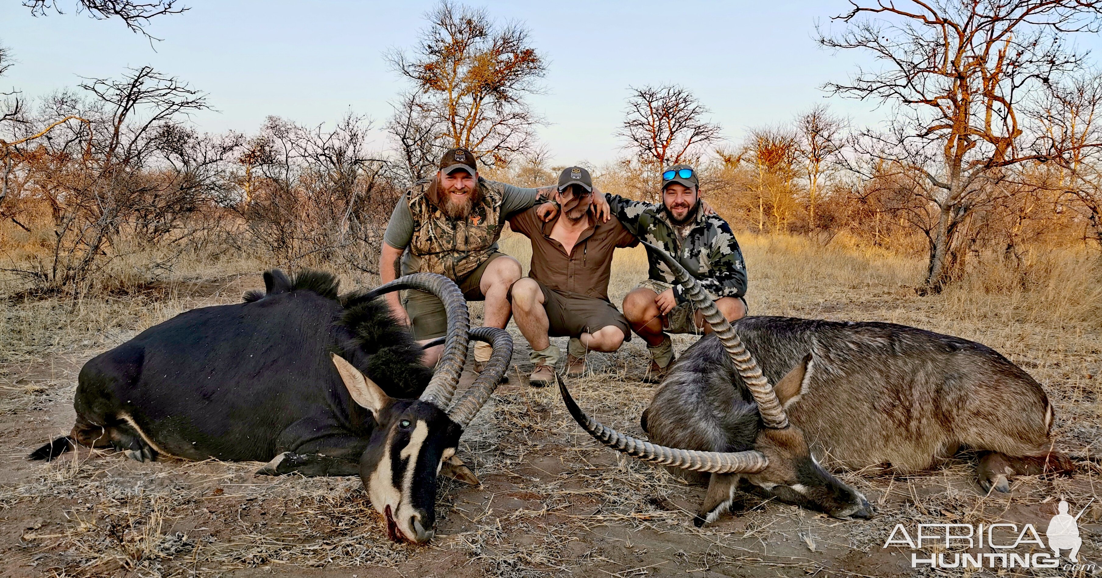 Sable & Waterbuck Hunt South Africa