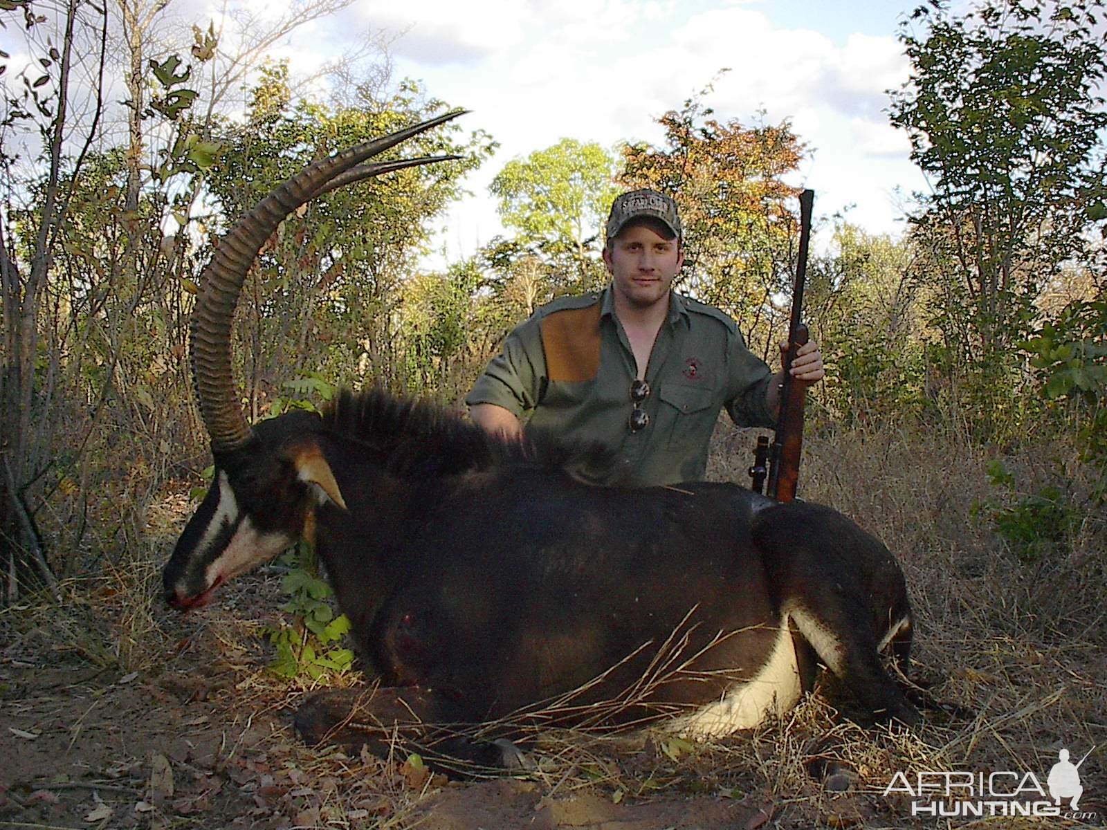 Sable Zimbabwe