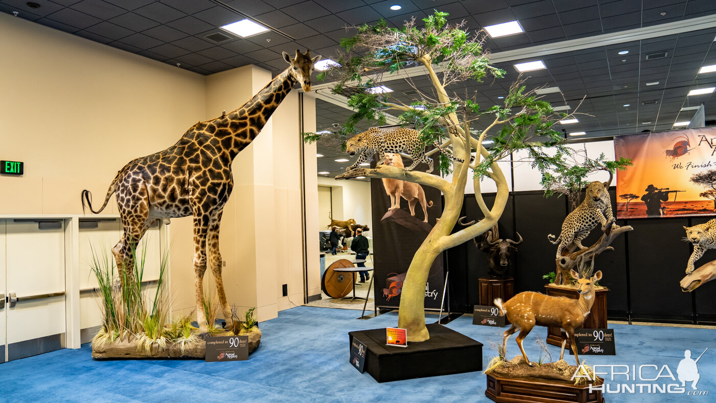 Safari Club International Convention 2020