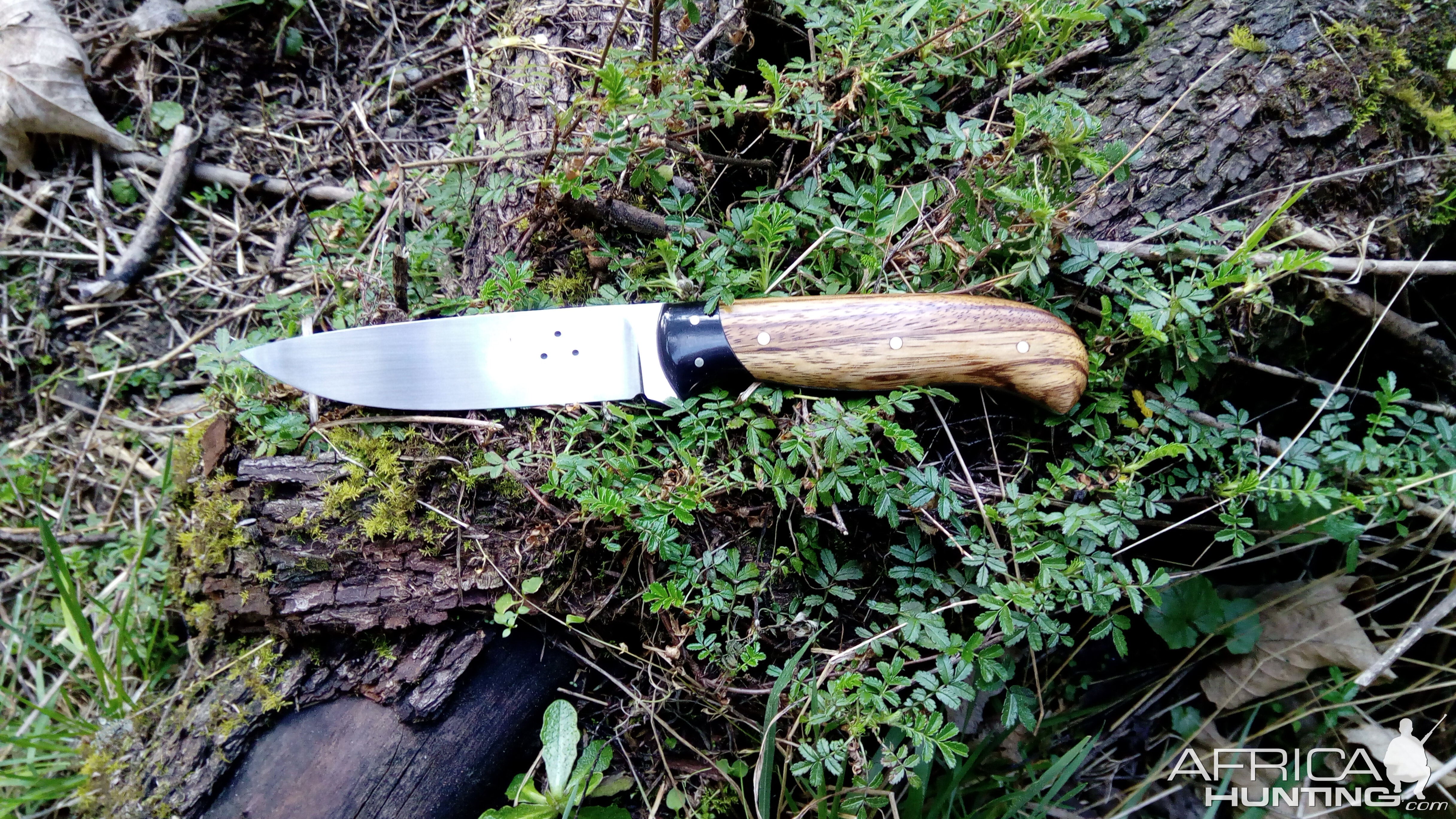 Safari Knife in 1095 with Buffalo Horn and Zebrawood