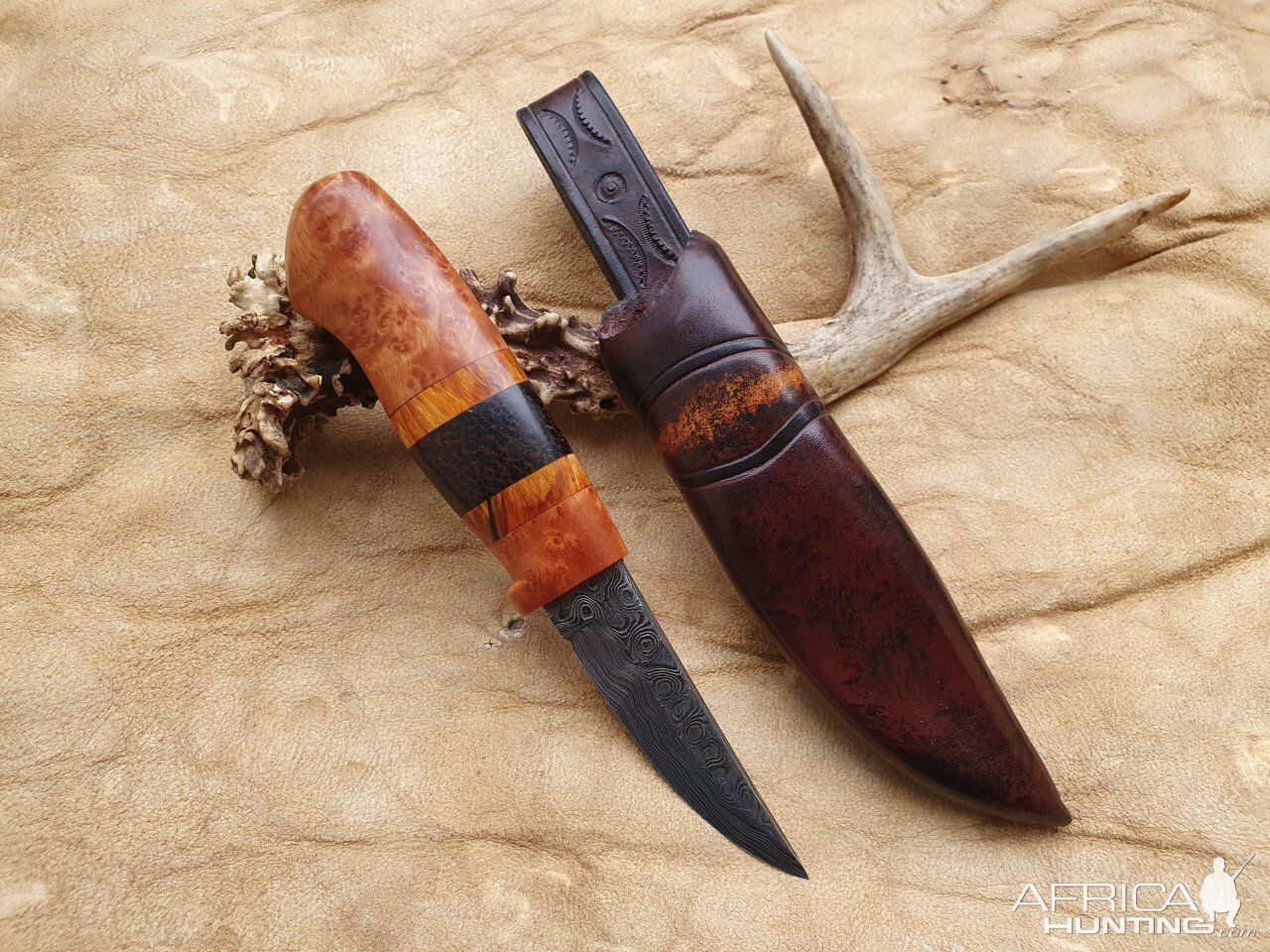 Safari Style Knife