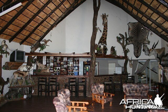 Safaris Lodge