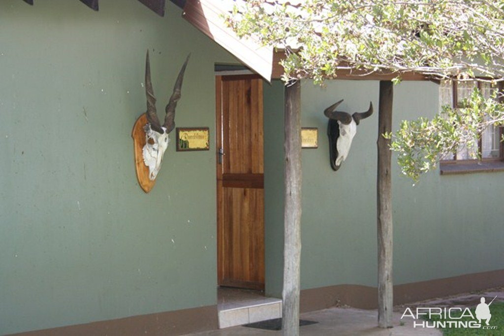 Safaris Lodge