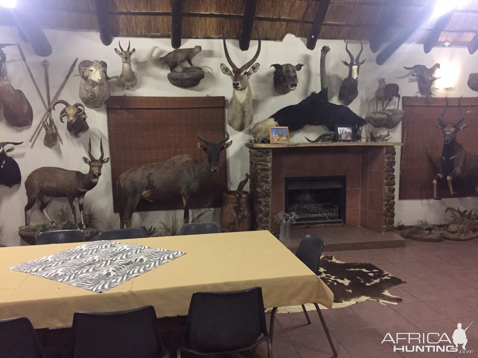 Safaris Trophy room