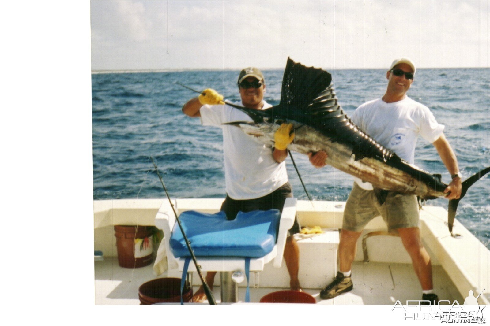 Sail Fish Mexico