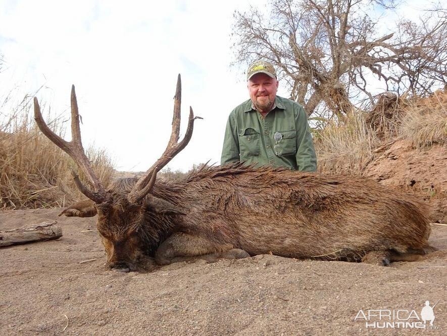 Sambar Deer Hunting South Africa