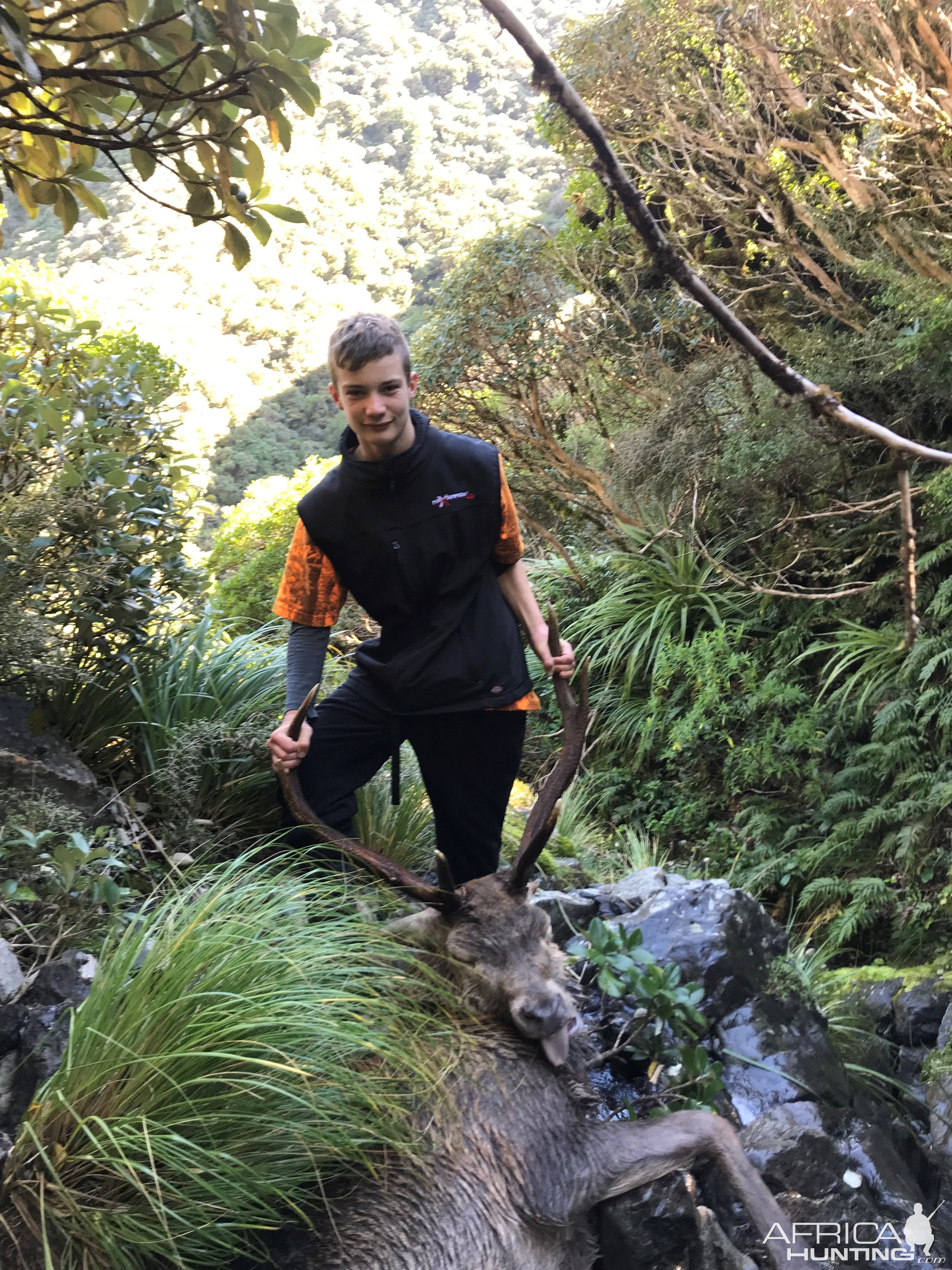 Sambar Hunt New Zealand