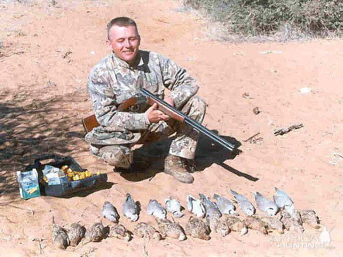 Sandgrouse & Dove Namibia Bird Hunting