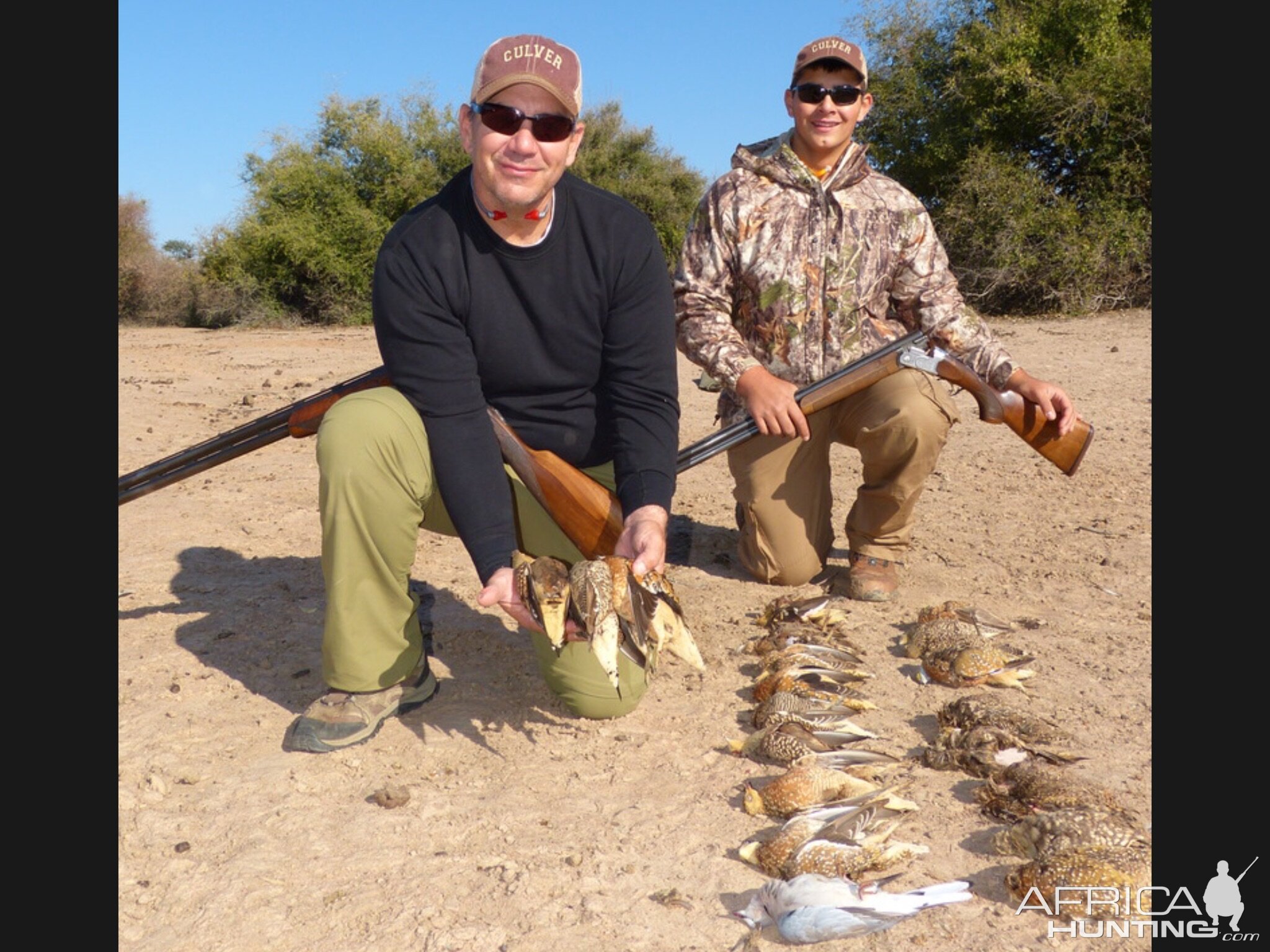 Sandgrouse hunt