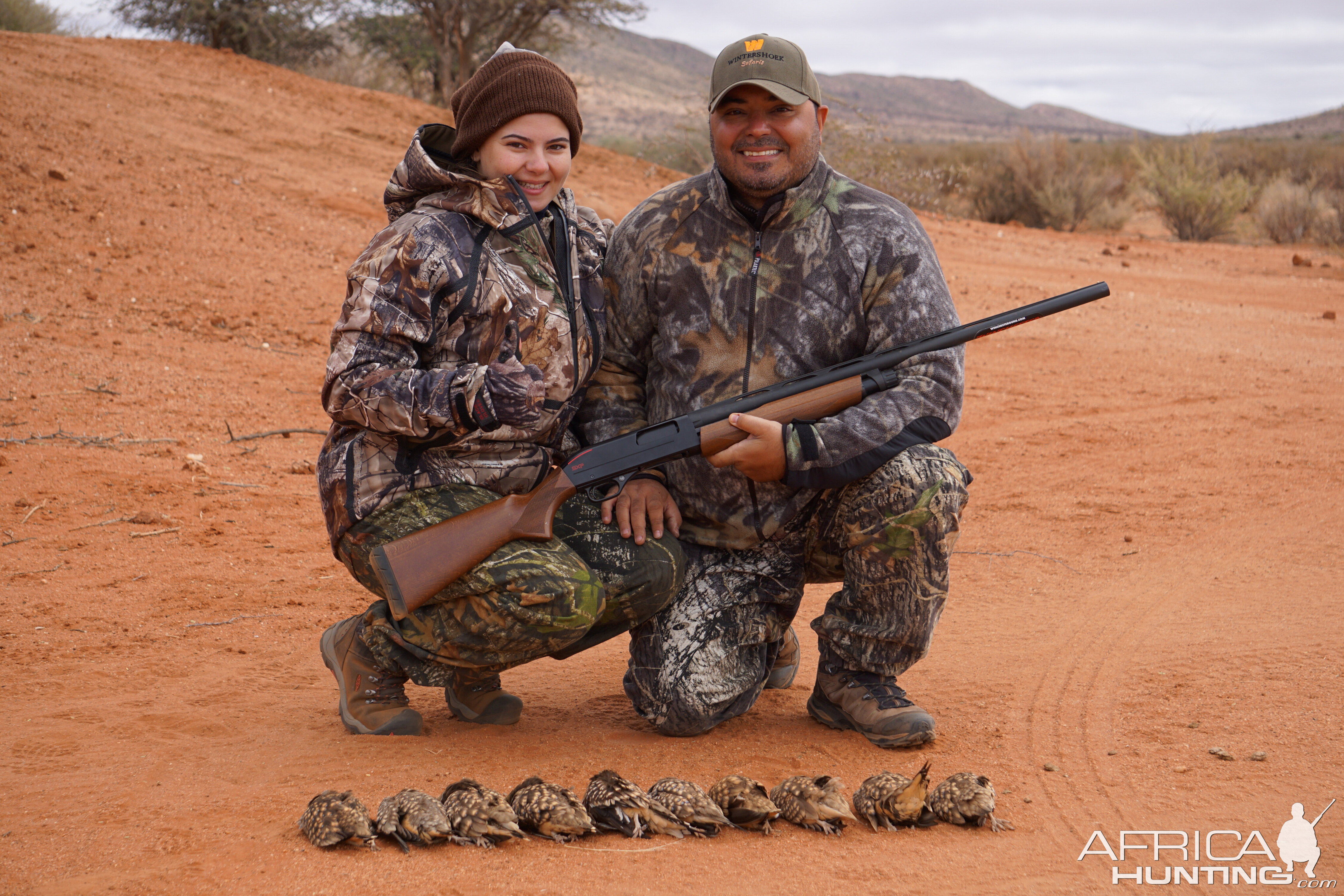 Sandgrouse Hunting South Africa