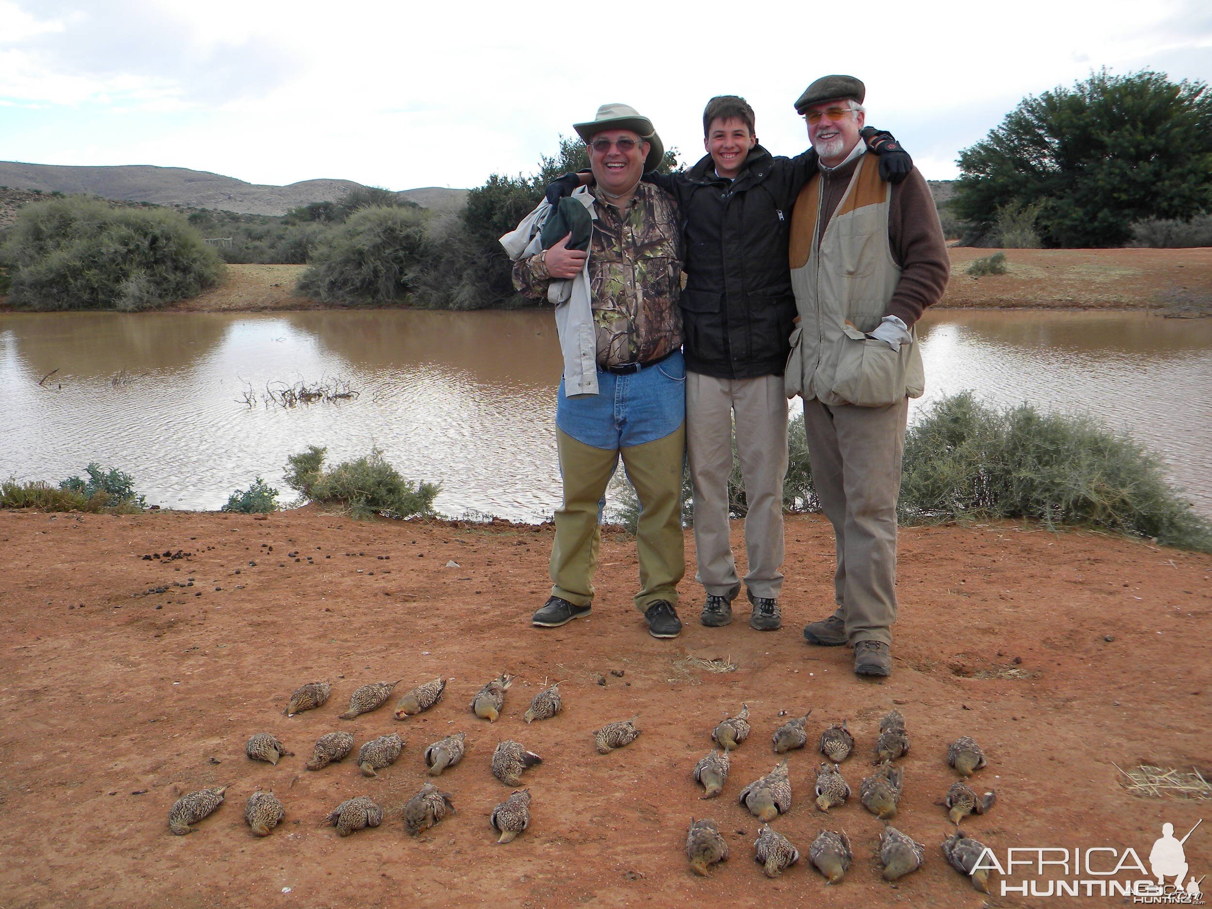 Sandgrouse Hunting