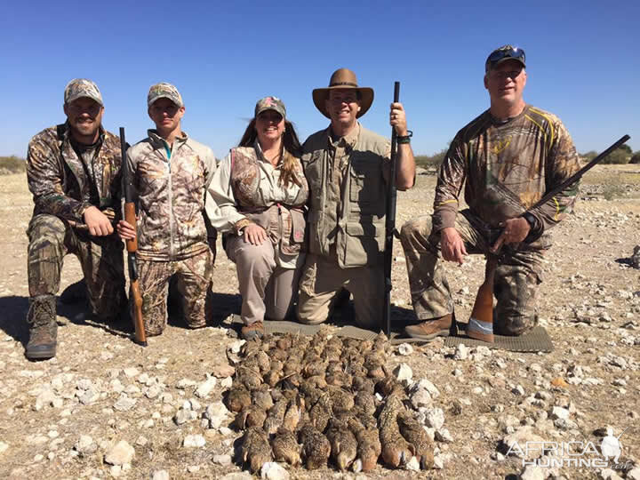 Sandgrouse Wing Shooting Namibia