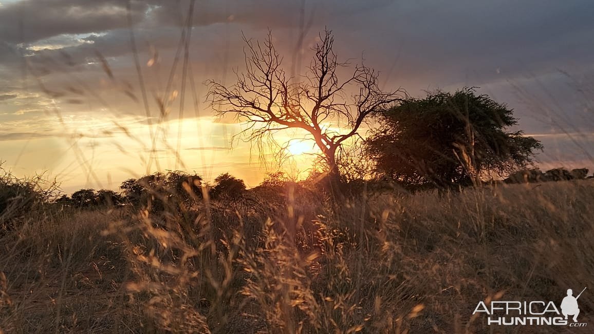 Scenery Kalahari South Africa