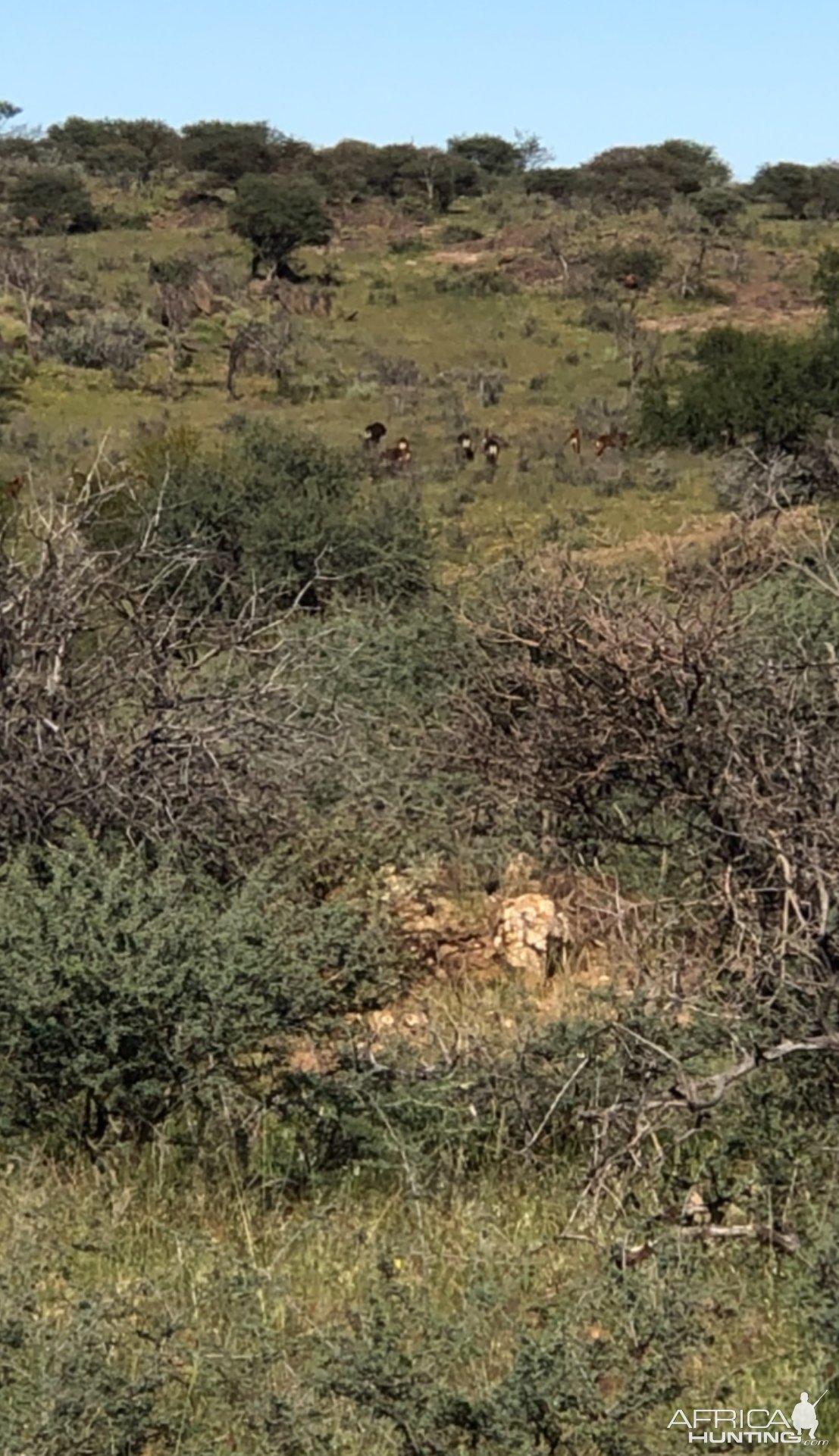 Scenery Khomas Hochland Namibia April 2024