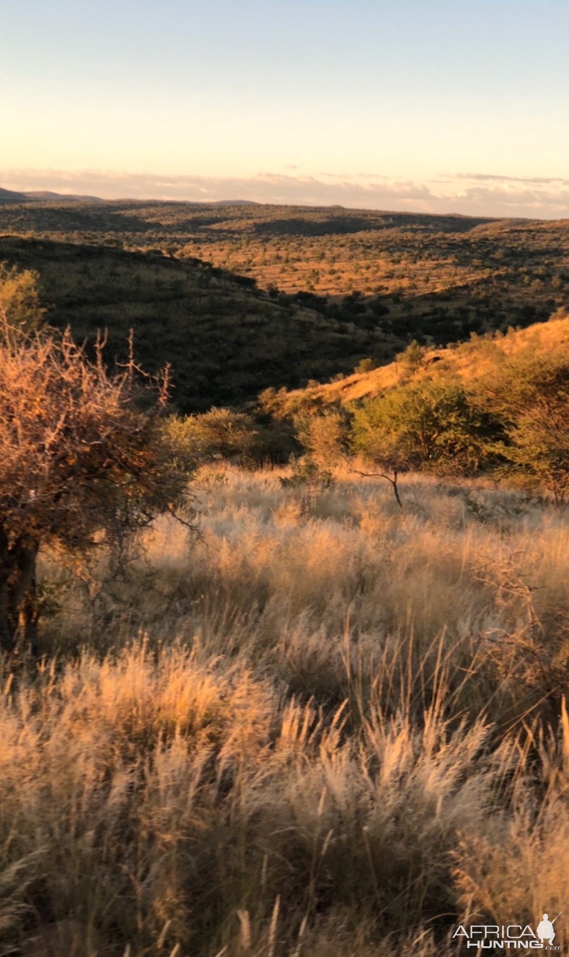 Scenery Khomas Hochland Namibia April 2024