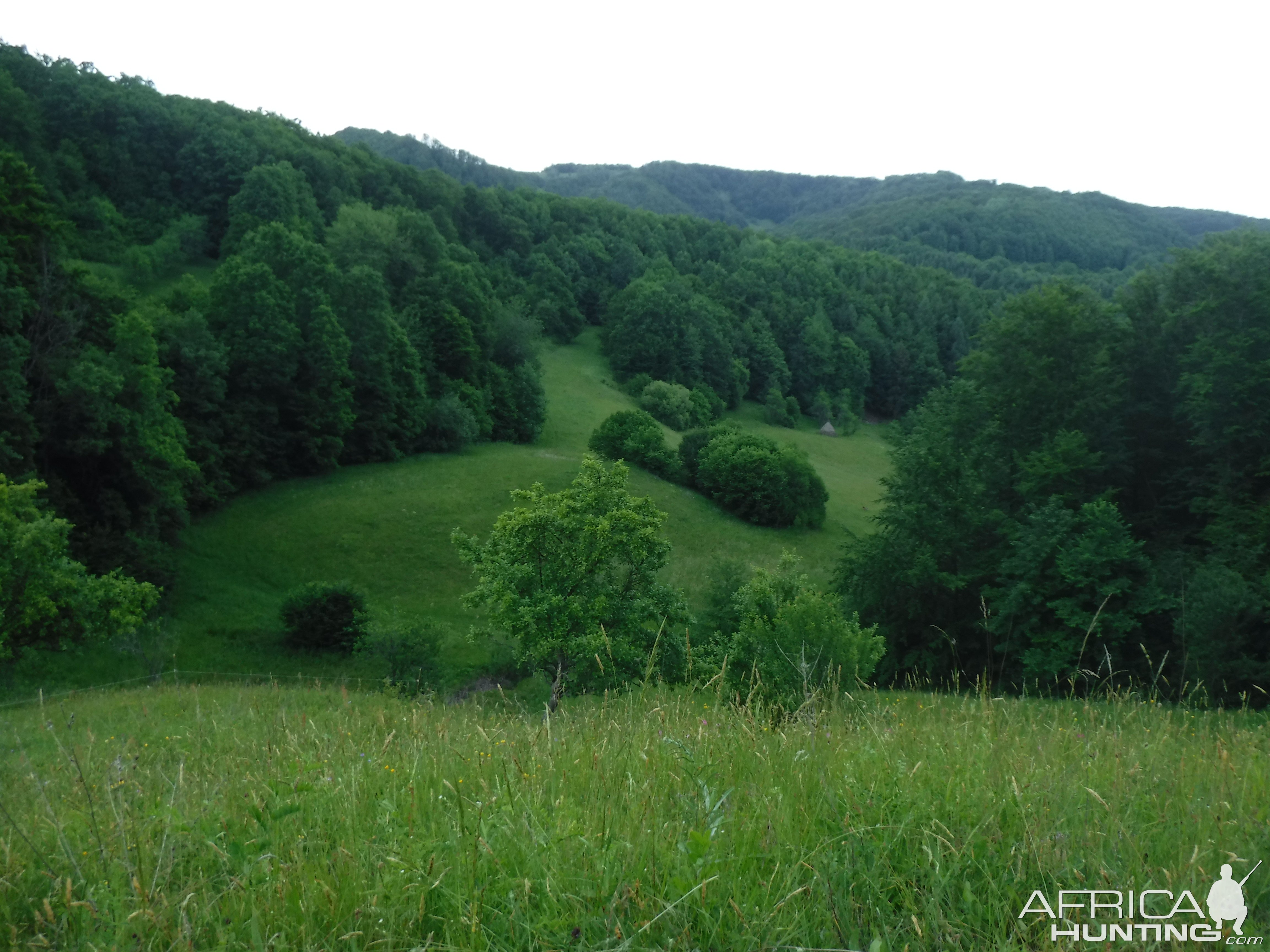 Scenery Romania