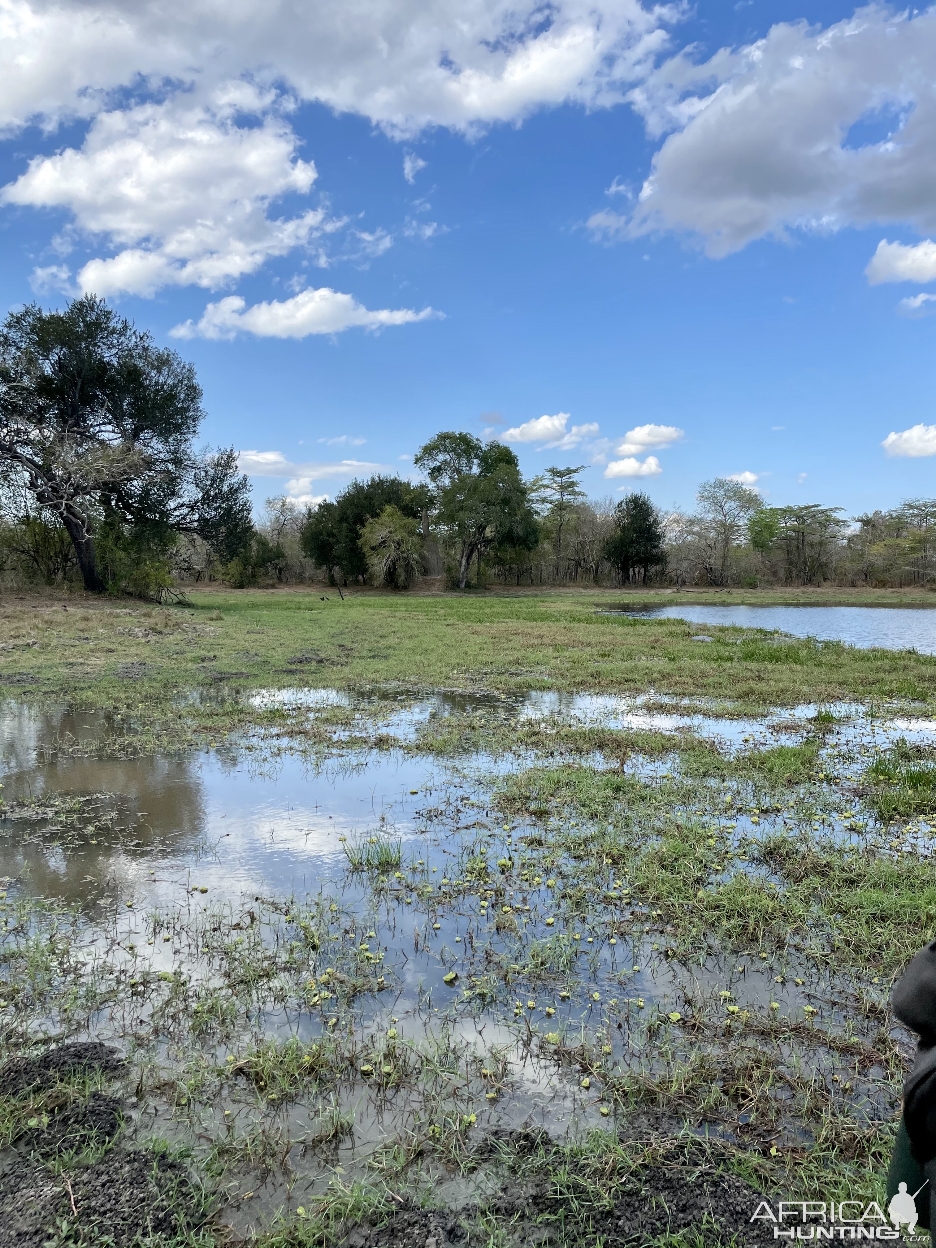 Scenery Selous Game Reserve Tanzania