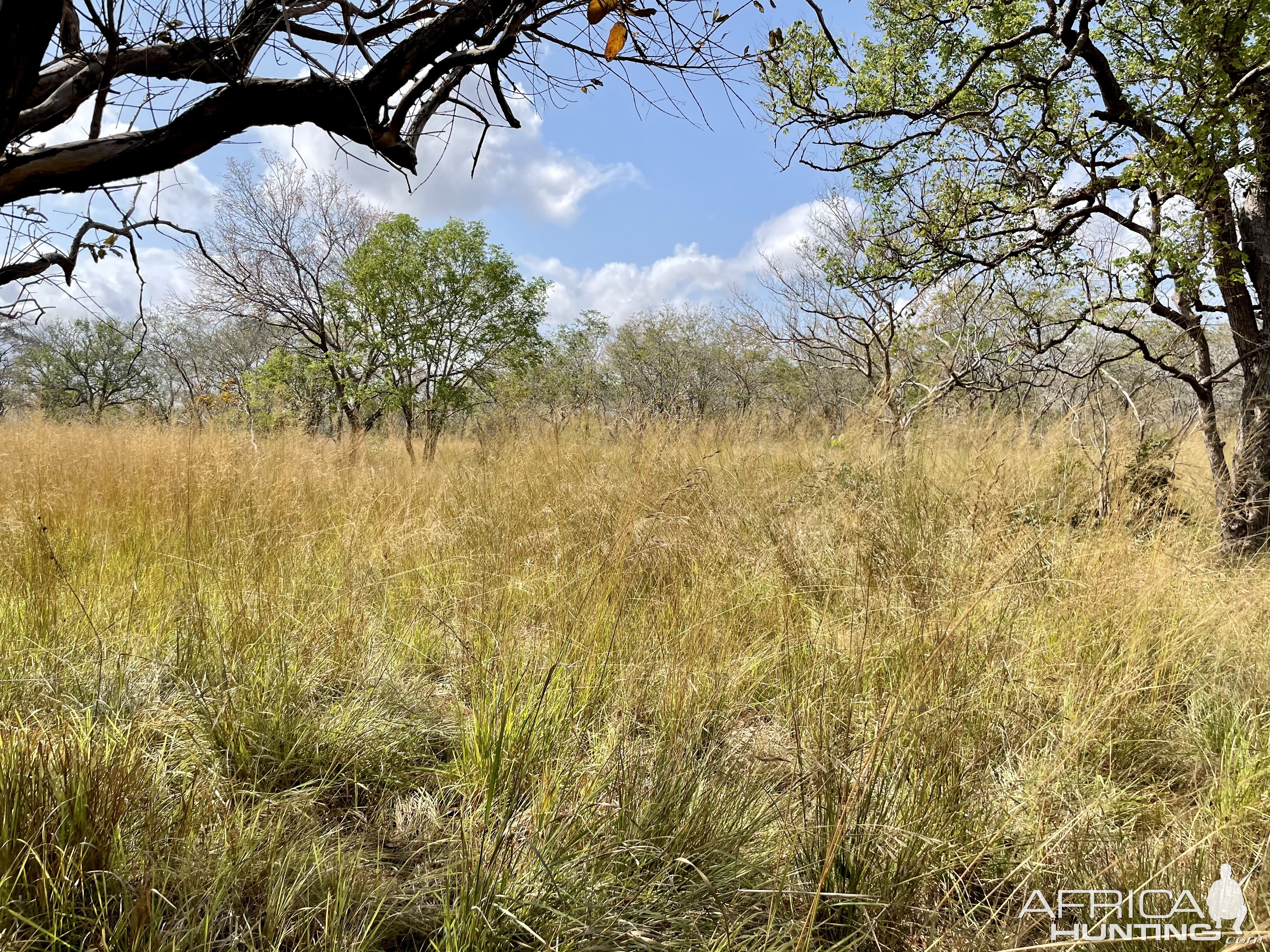 Scenery Selous Game Reserve Tanzania