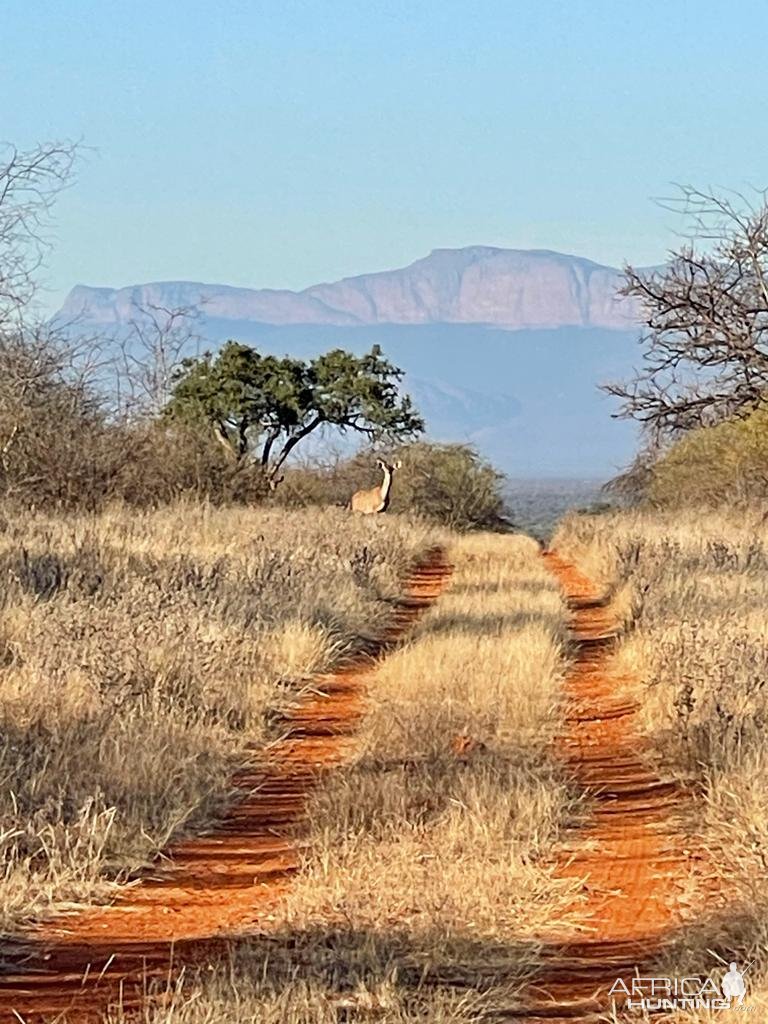 Scenery South Africa