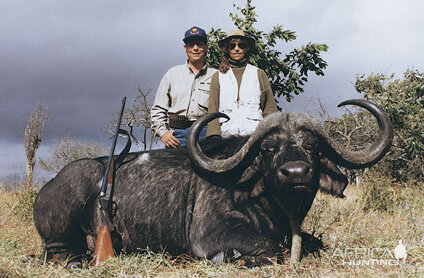 SCI #6 Cape Buffalo