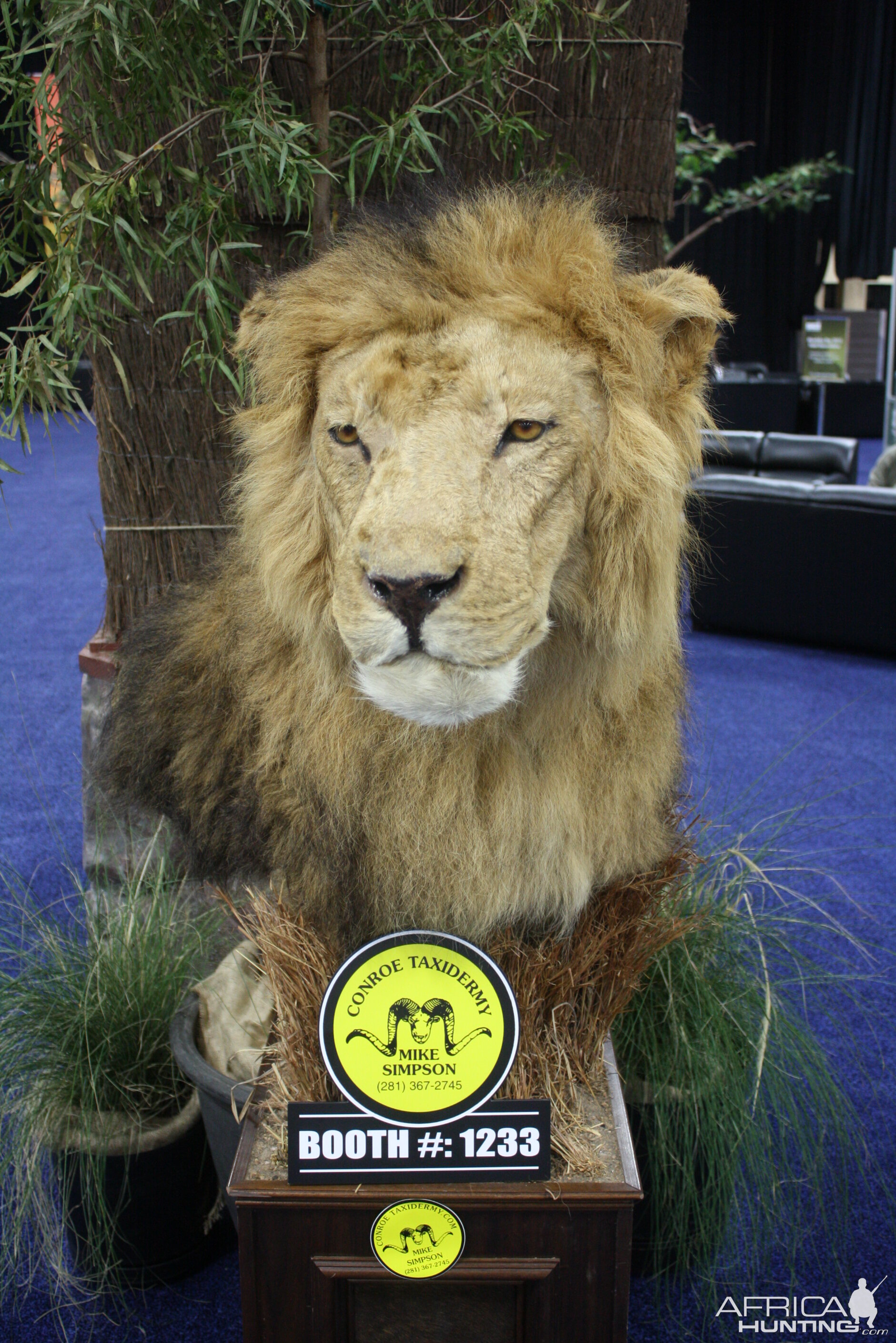 SCI Convention 2014 Taxidermy Mounts