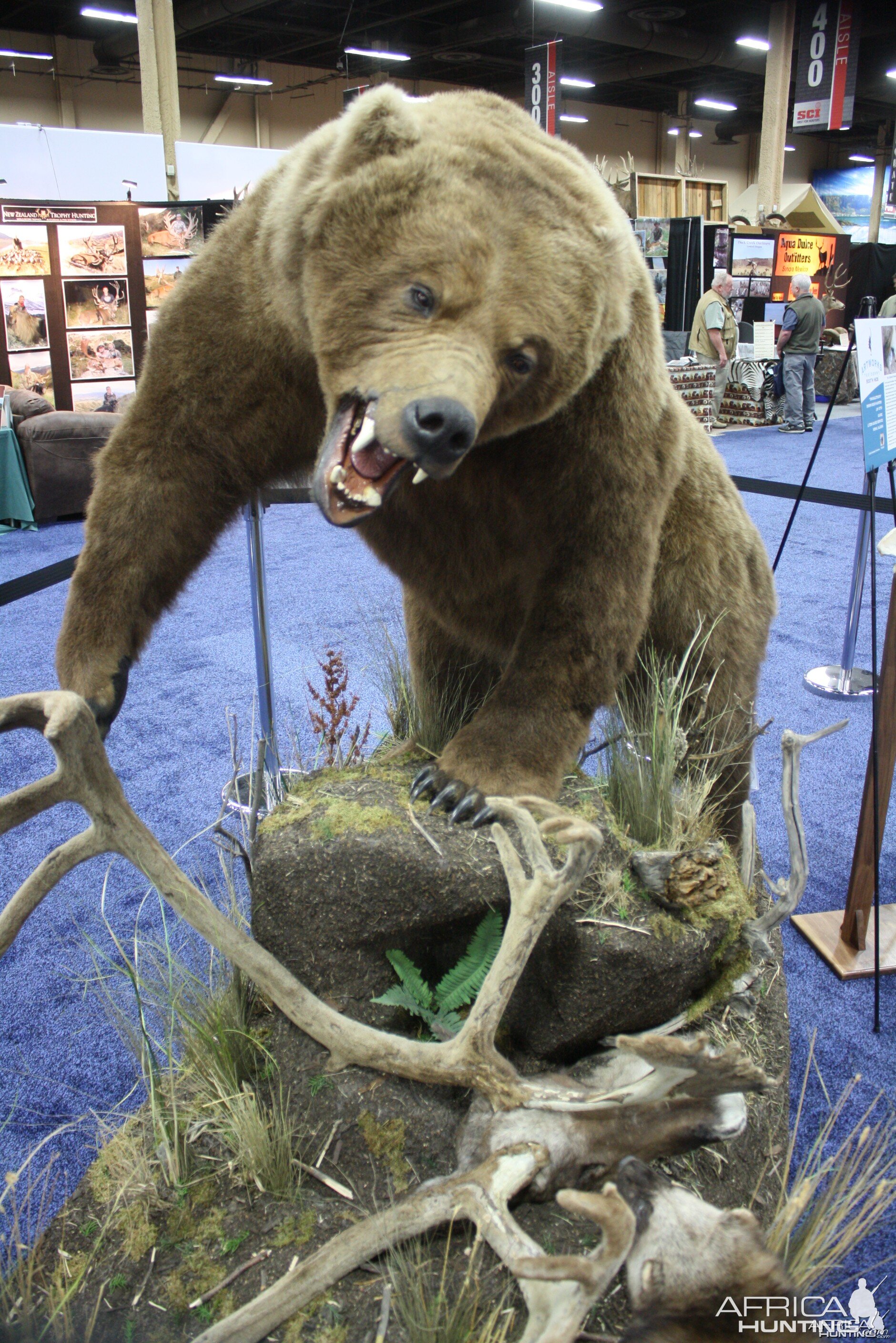 SCI Convention 2014 Taxidermy Mounts