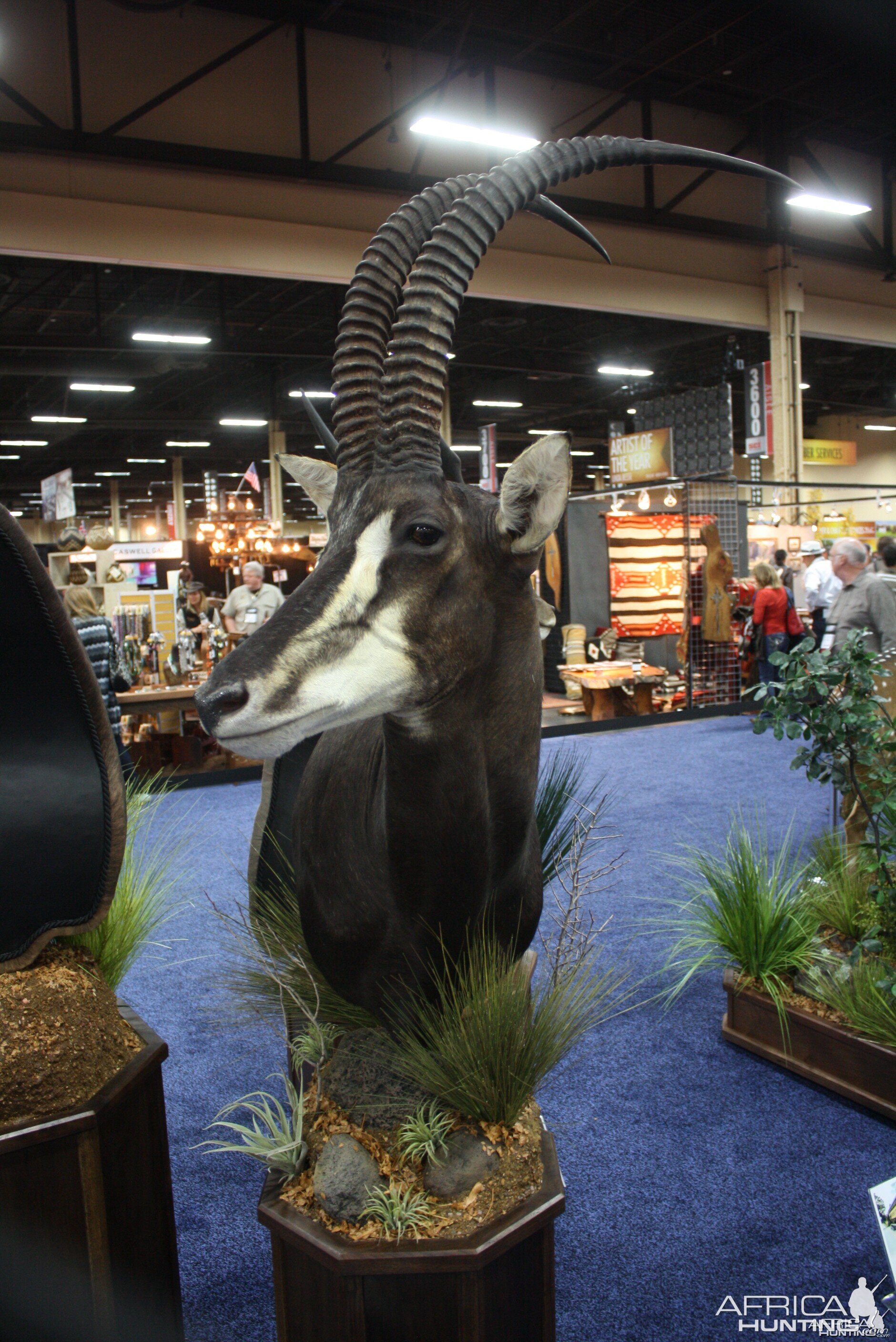 SCI Convention 2014 Taxidermy Mounts