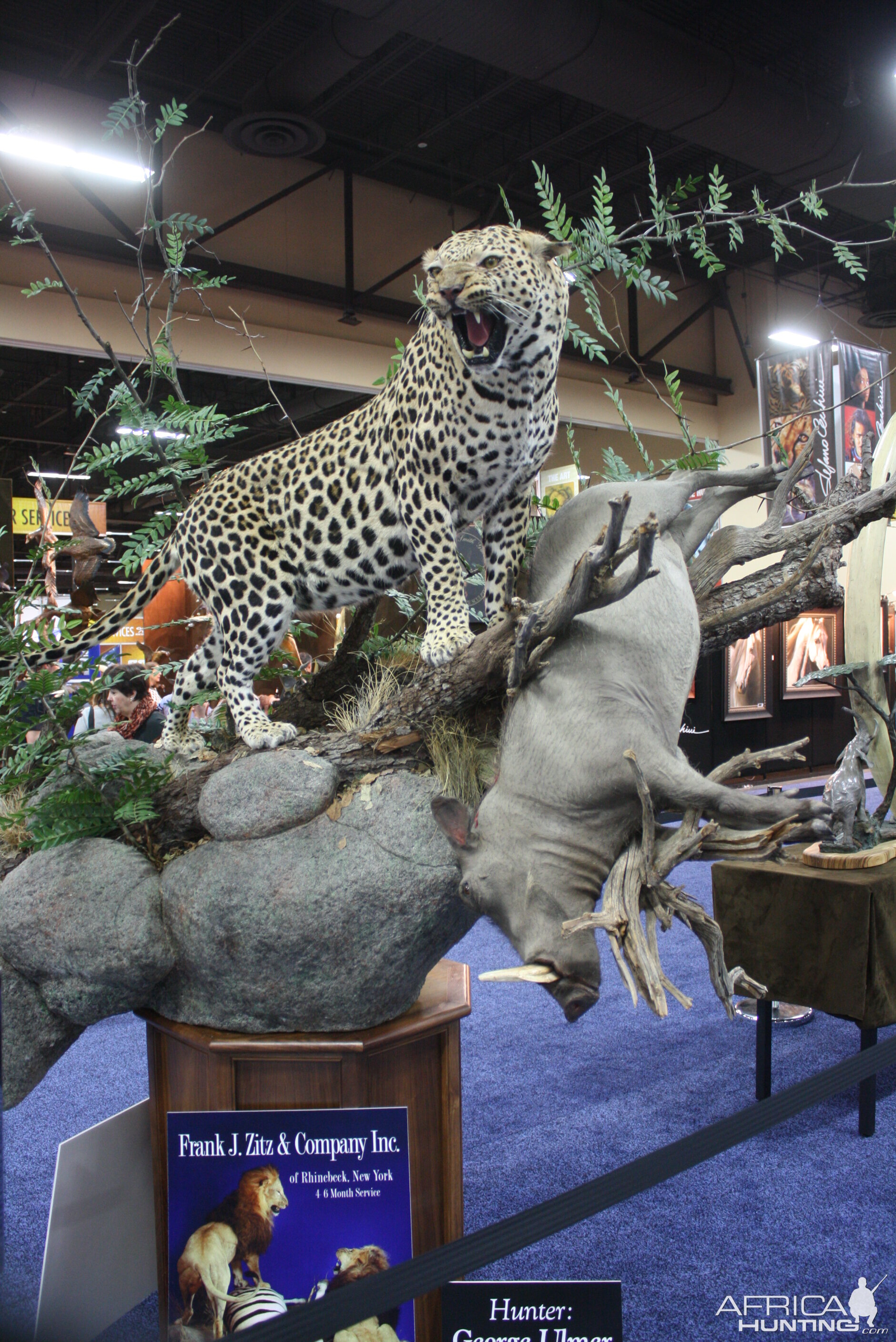 SCI Convention 2014 Taxidermy Mounts