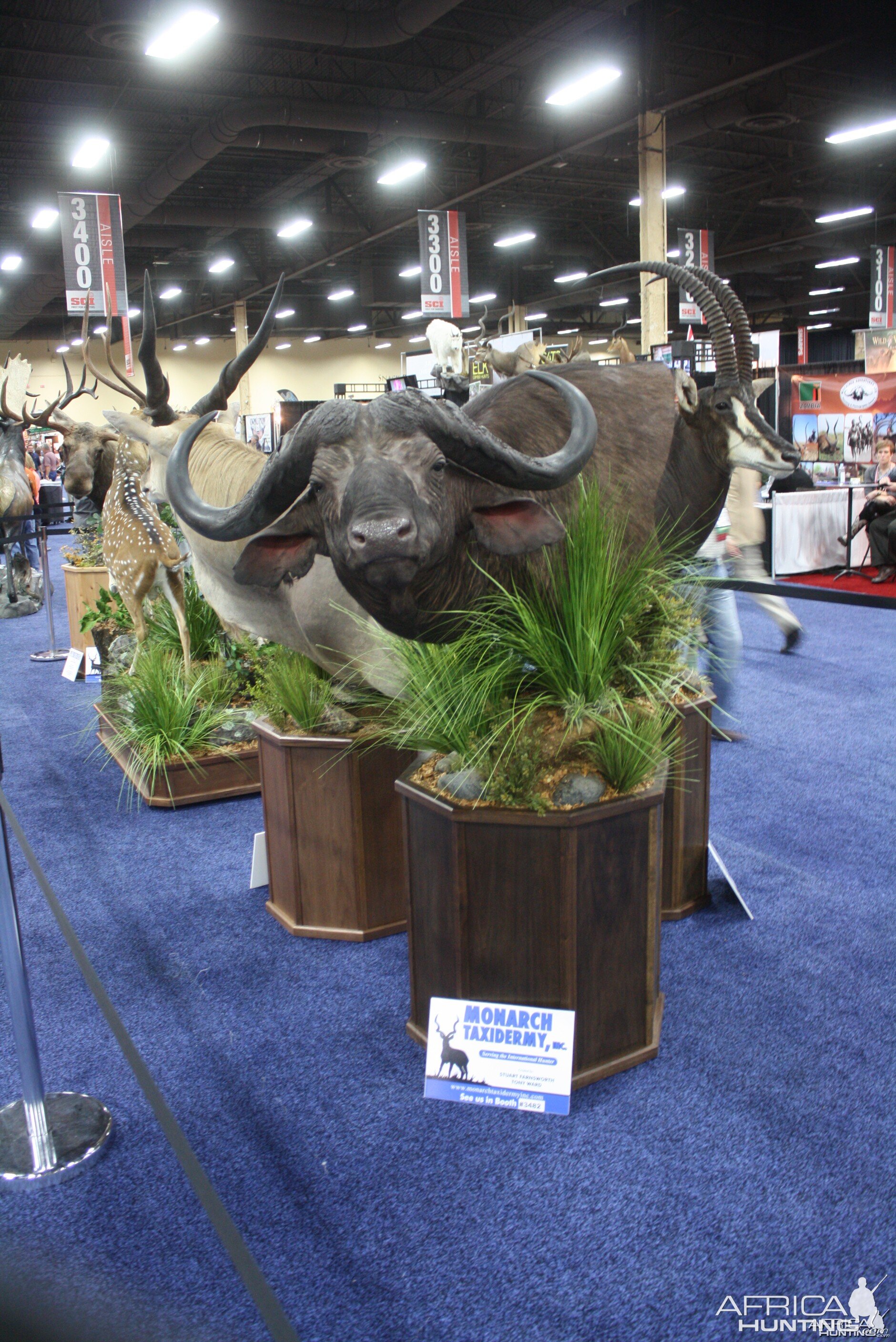 SCI Convention 2014 Taxidermy Mounts