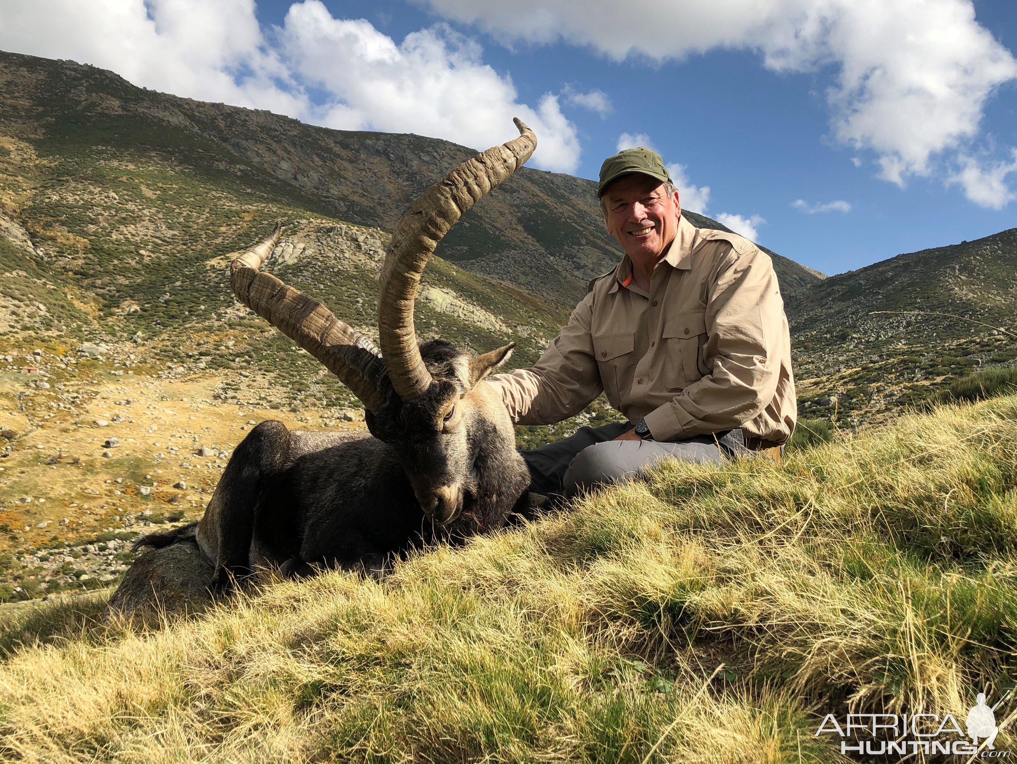 SCI Gold Gredos Ibex