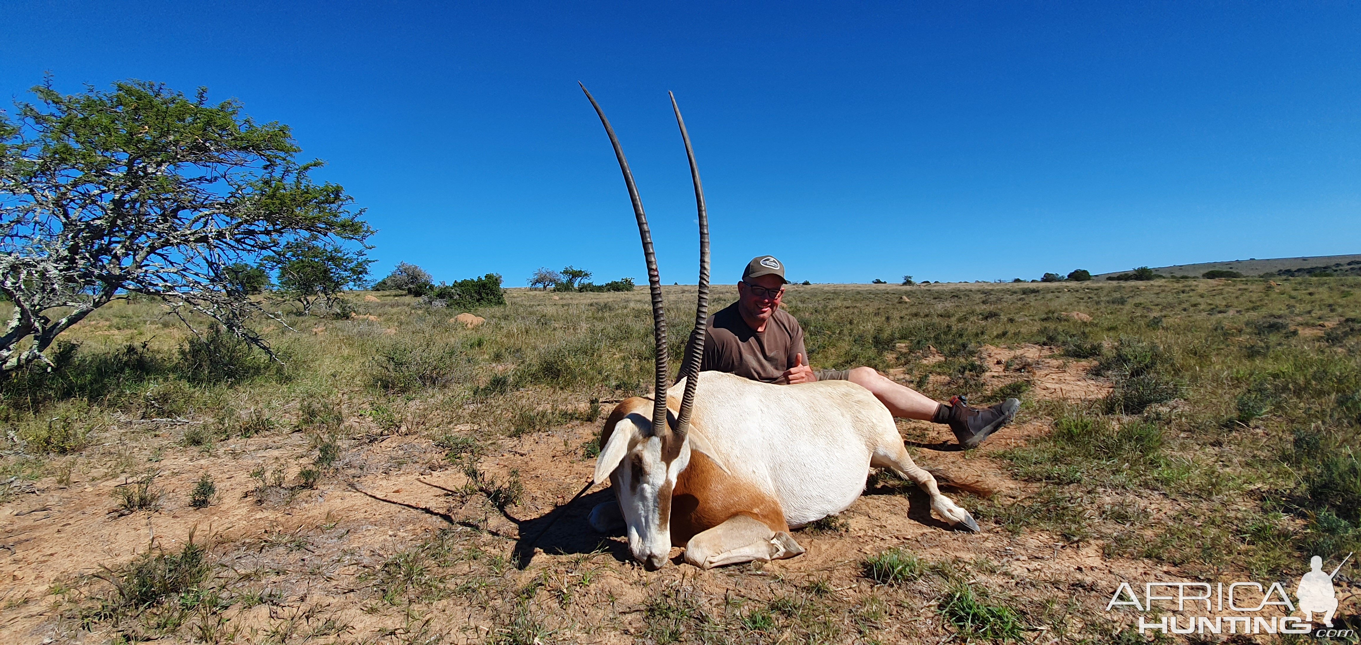 Scimitar Oryx Hunt South Africa