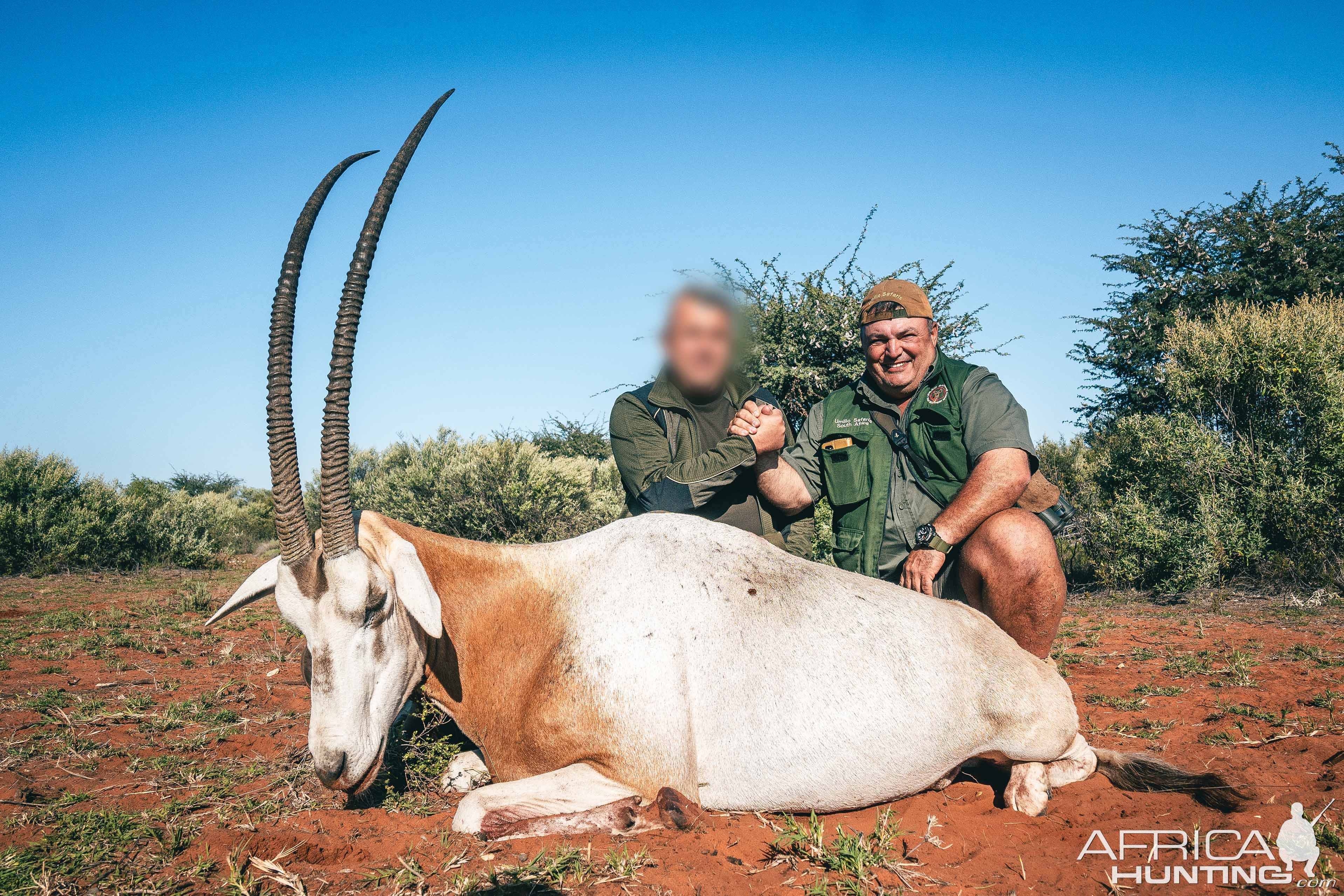 Scimitar Oryx Hunt South Africa