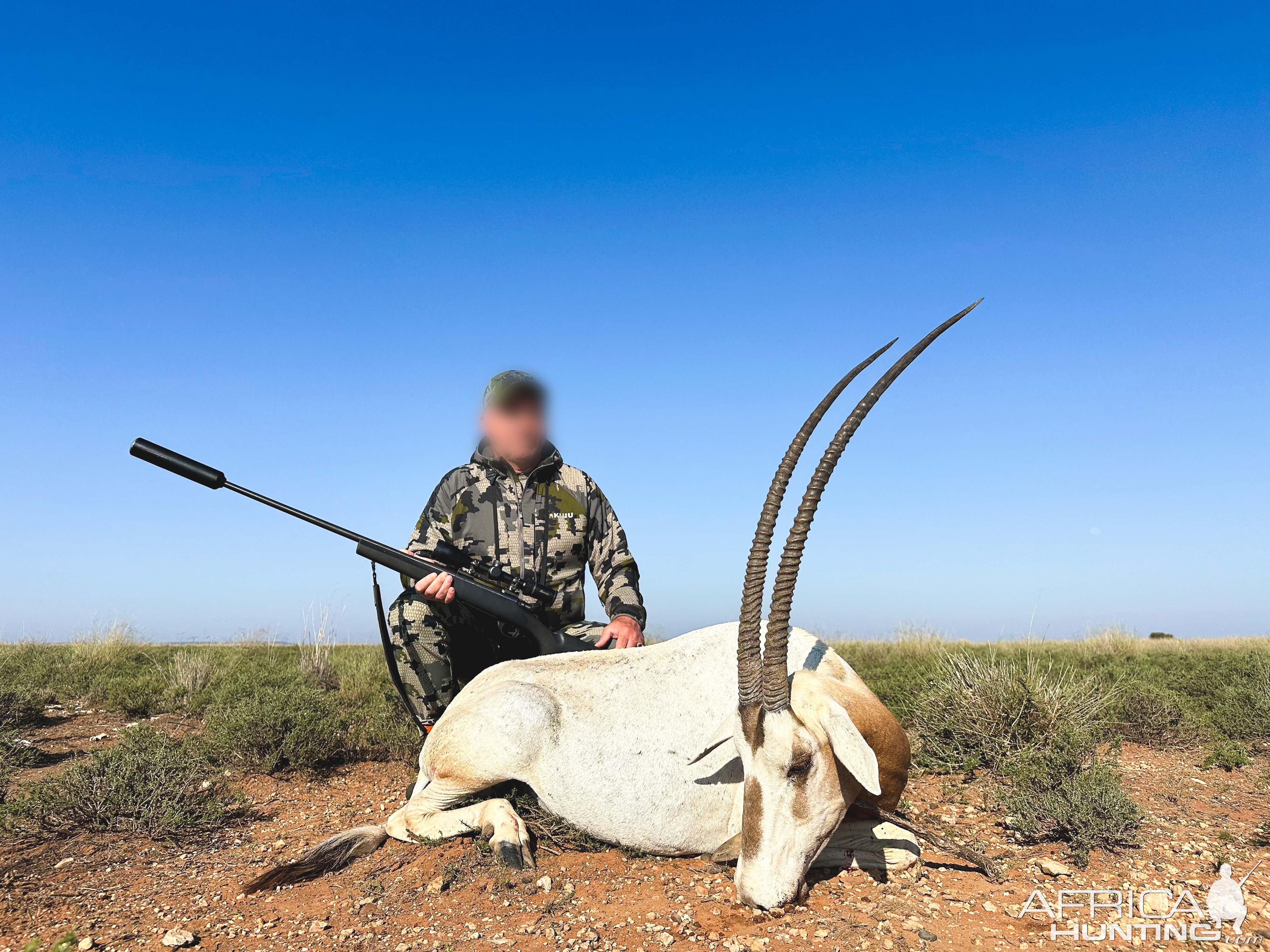 Scimitar Oryx Hunt South Africa