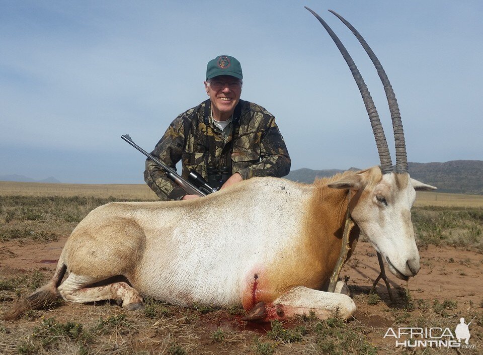 Scimitar Oryx Hunt South Africa