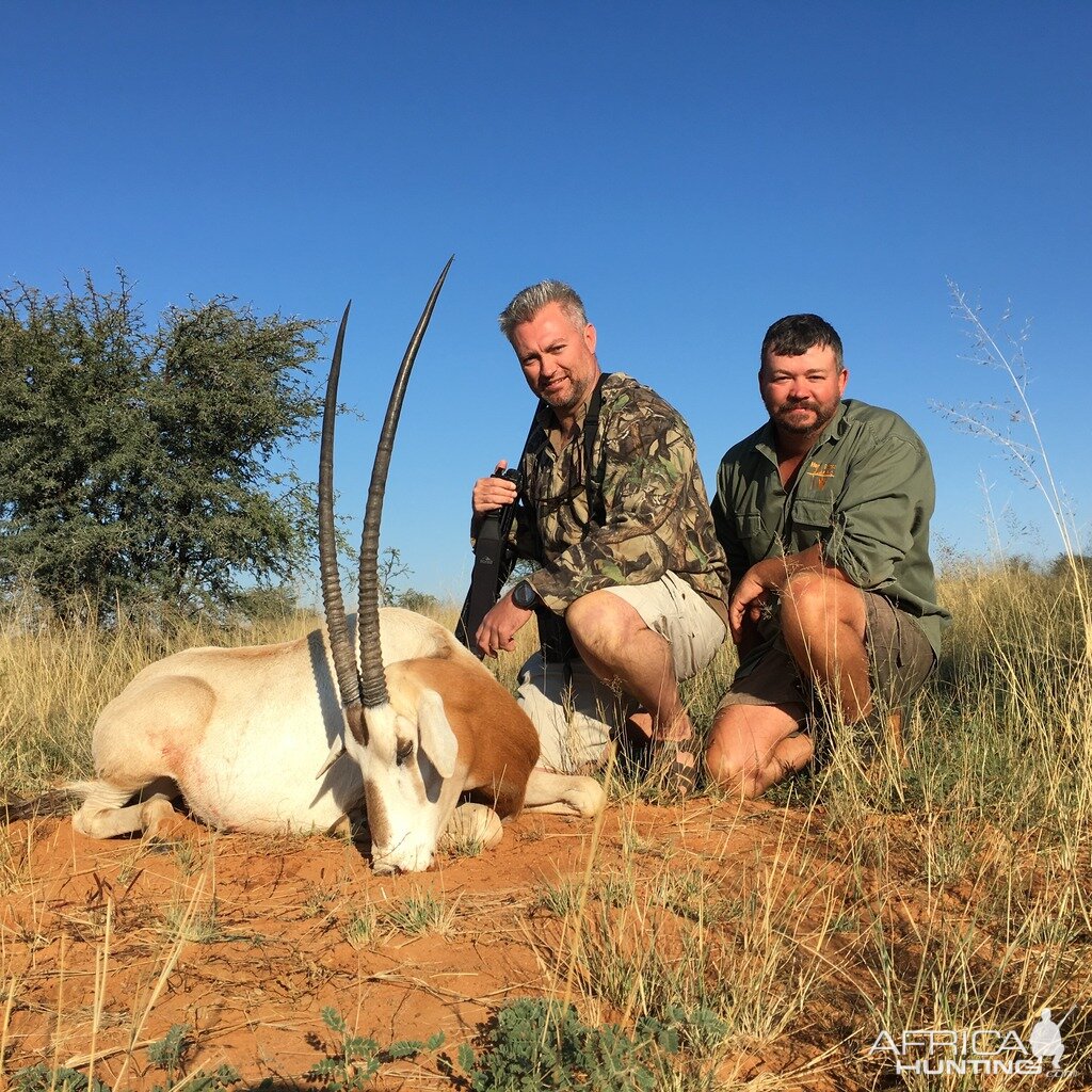 Scimitar Oryx Hunt South Africa